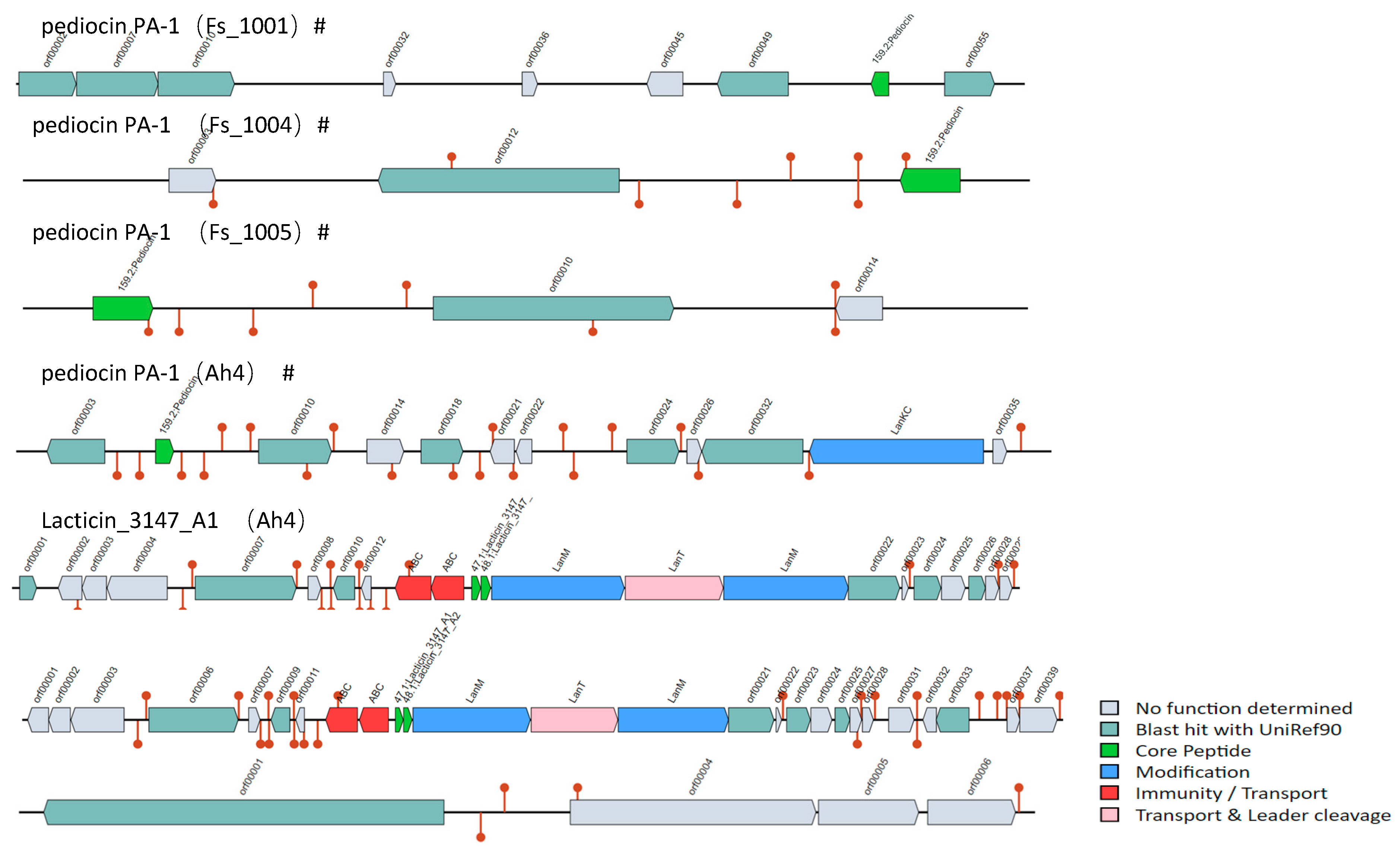 Microorganisms 12 00845 g007