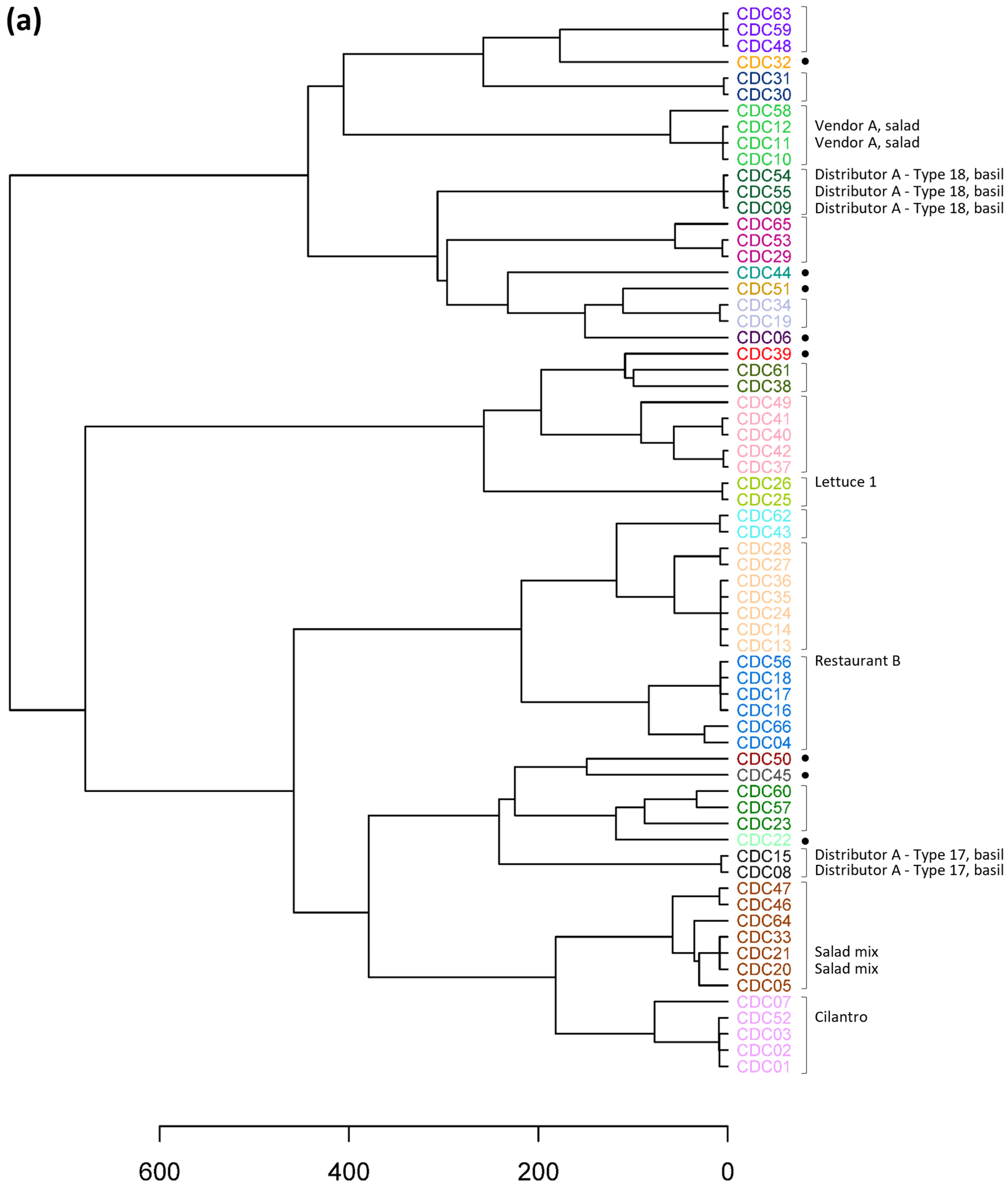 Microorganisms 12 00848 g001a
