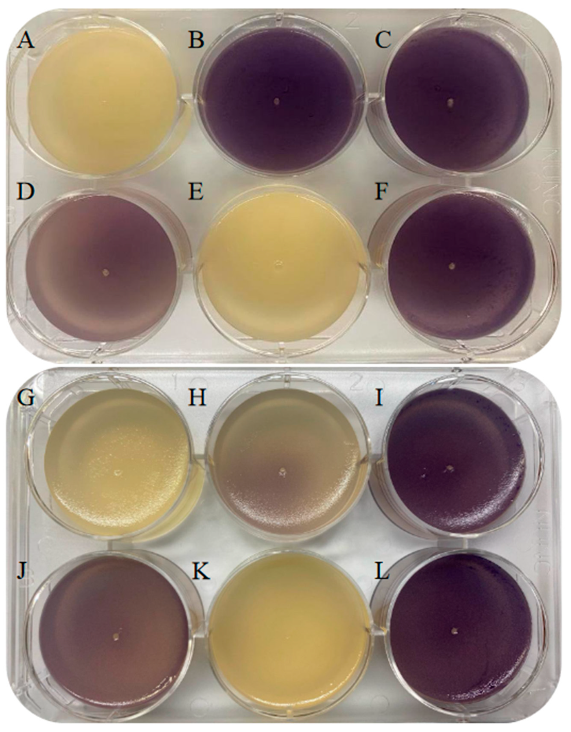 Microorganisms 12 00890 g002