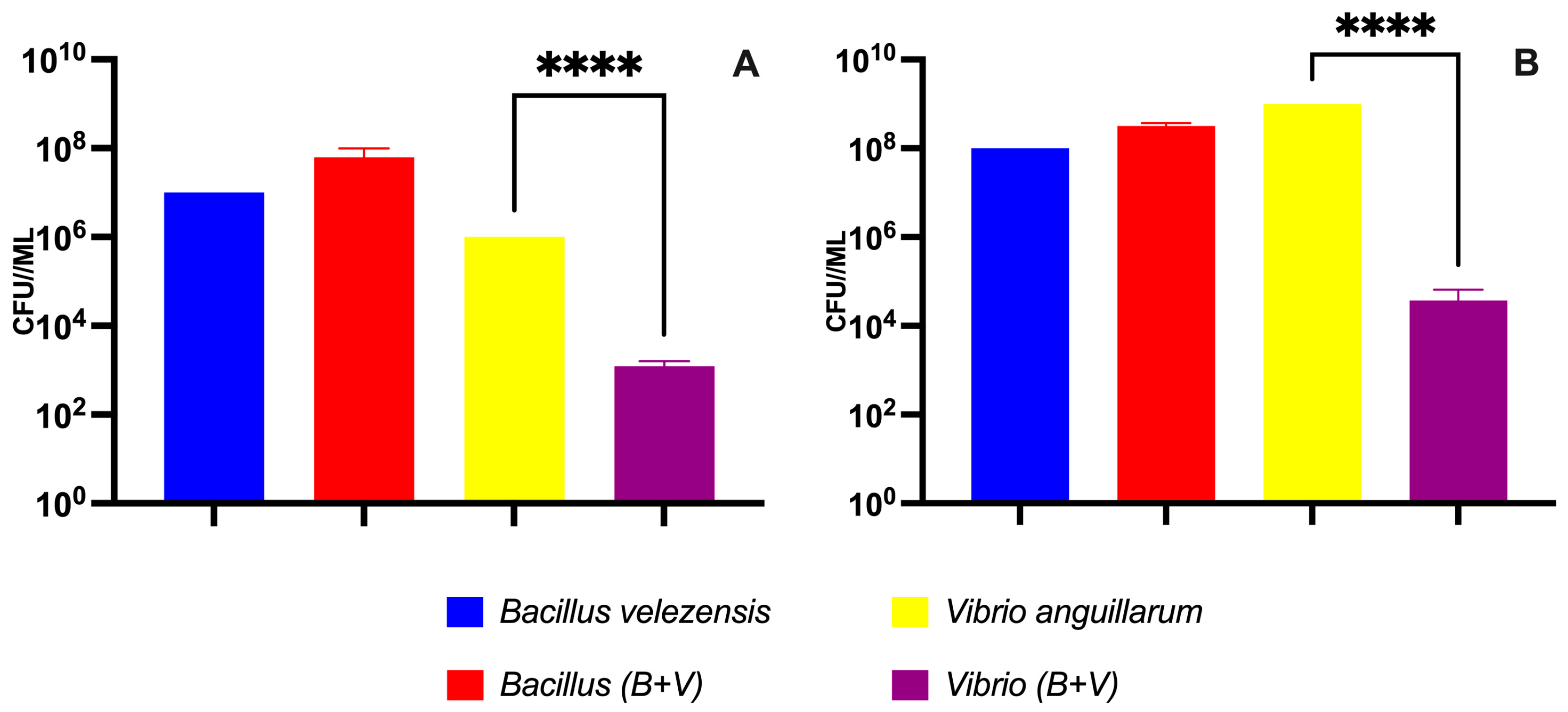 Microorganisms 12 00890 g006