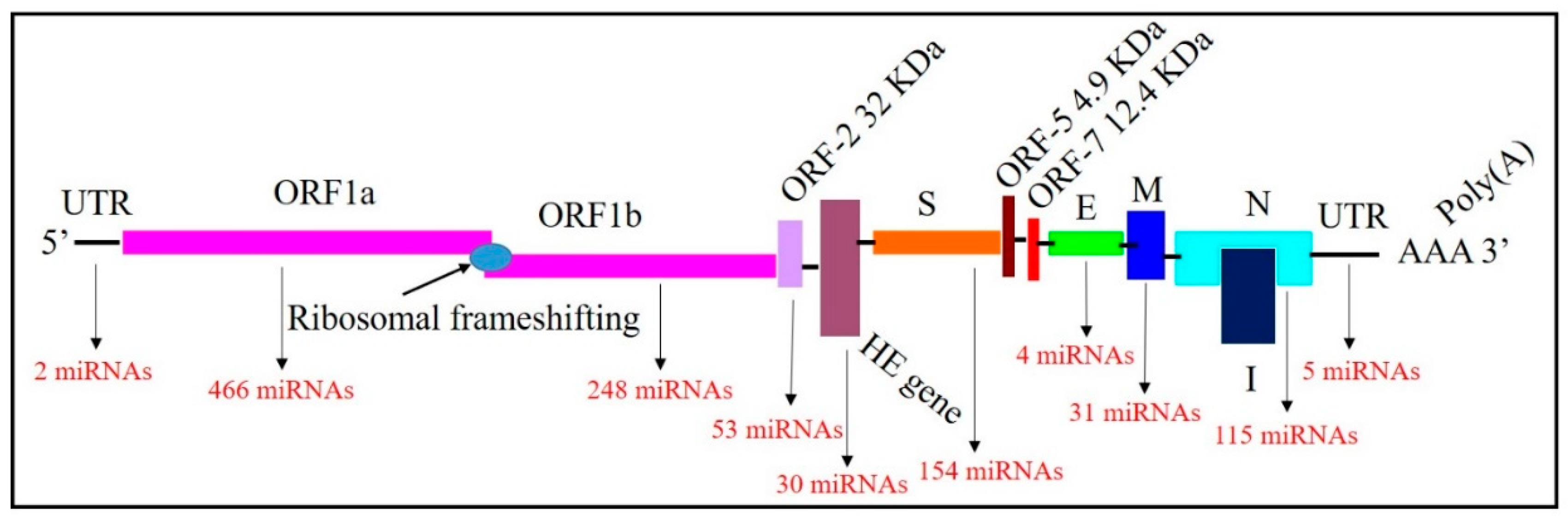Microorganisms 12 00897 g001 Microorganisms 12 00897 g001