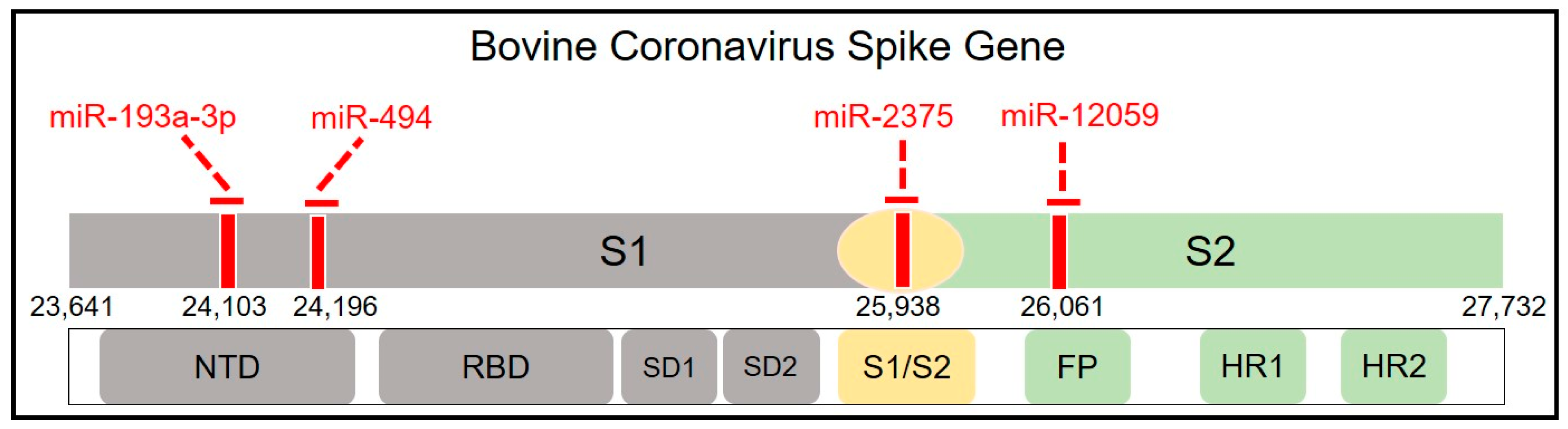 Microorganisms 12 00897 g002 Microorganisms 12 00897 g002
