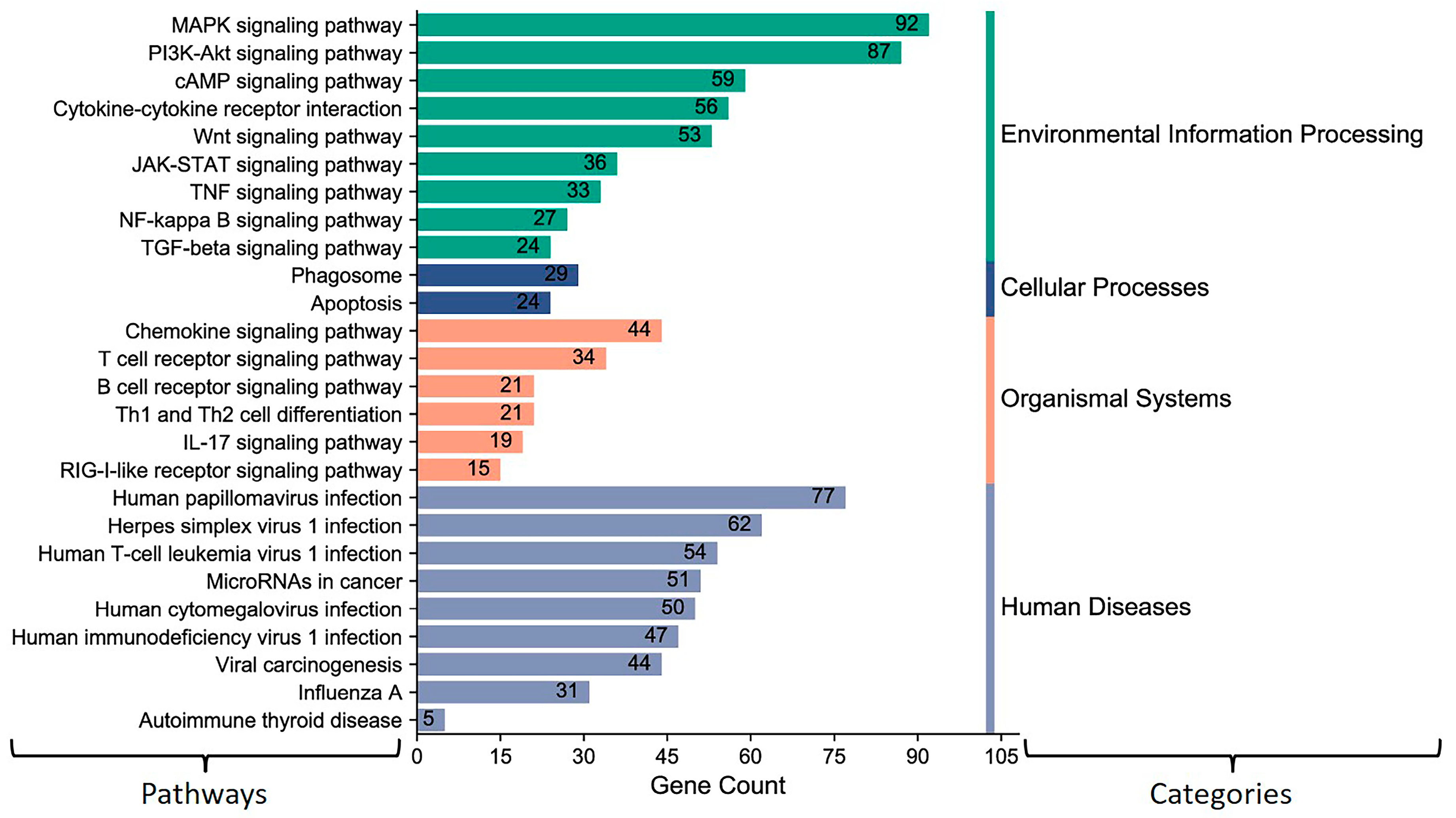 Microorganisms 12 00897 g005 Microorganisms 12 00897 g005