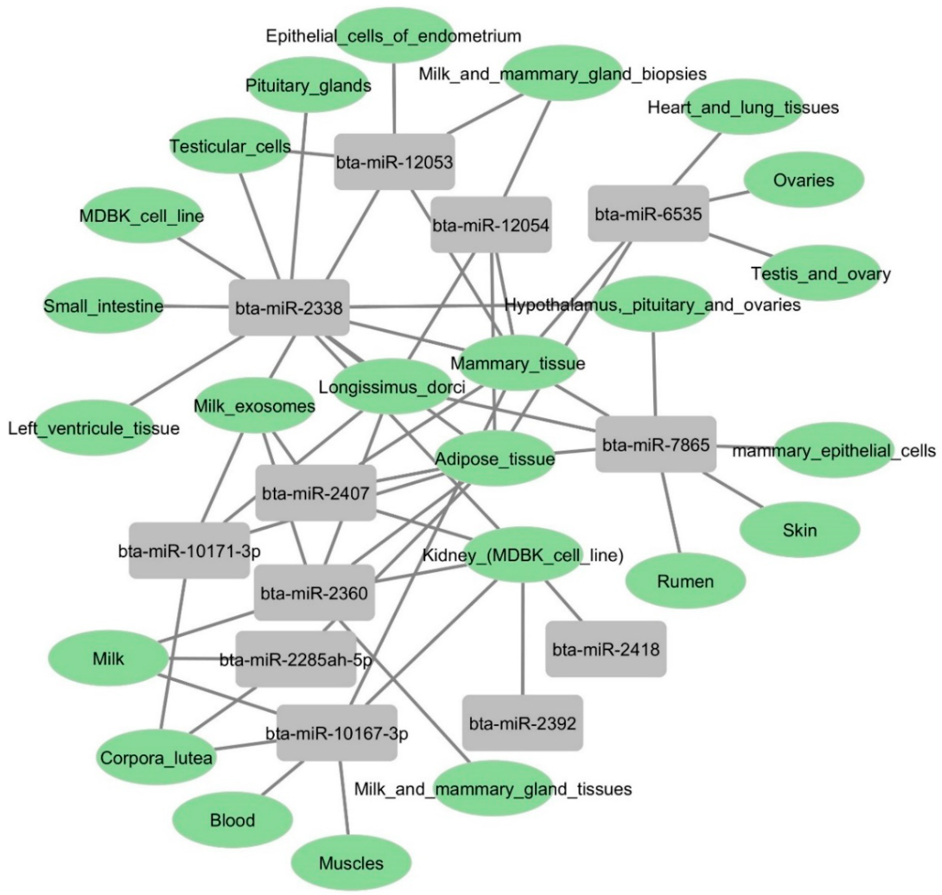 Microorganisms 12 00897 g010 Microorganisms 12 00897 g010