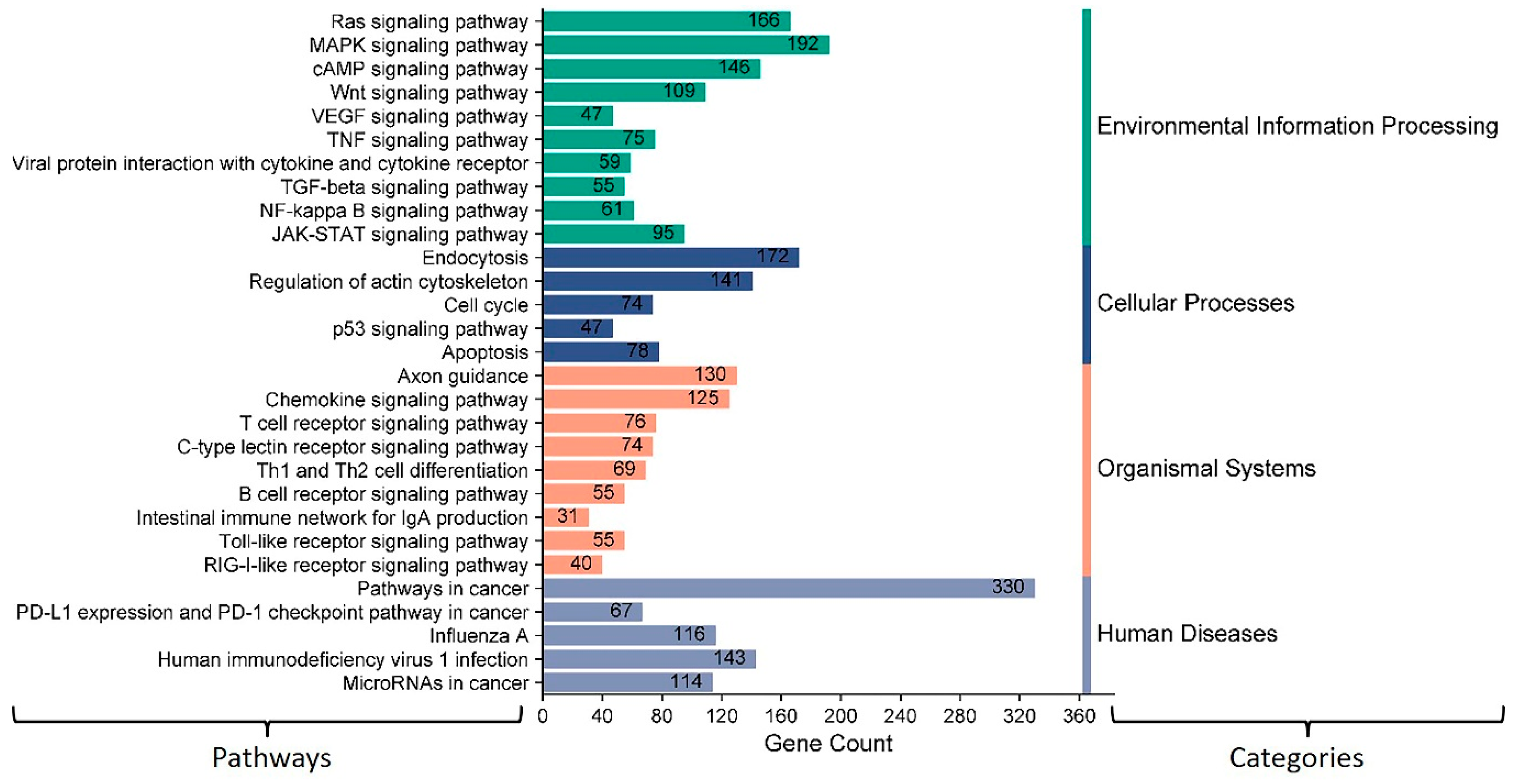 Microorganisms 12 00897 g012 Microorganisms 12 00897 g012