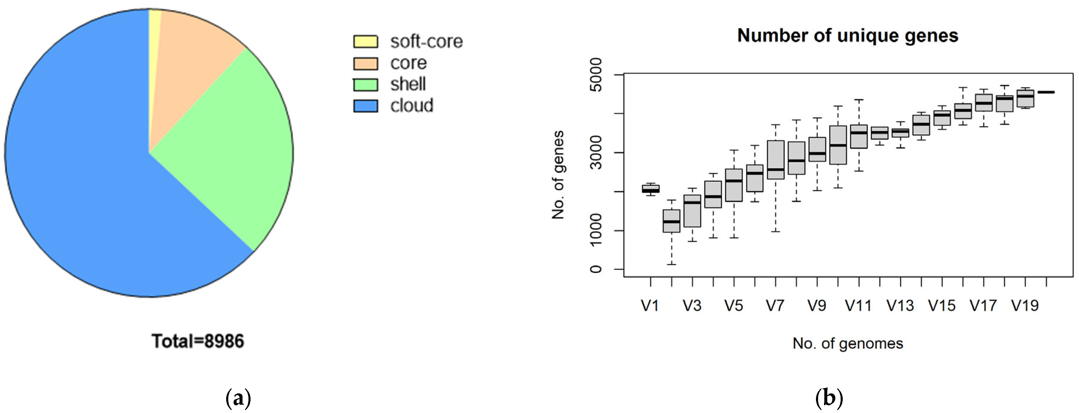 Microorganisms 12 00917 g003a