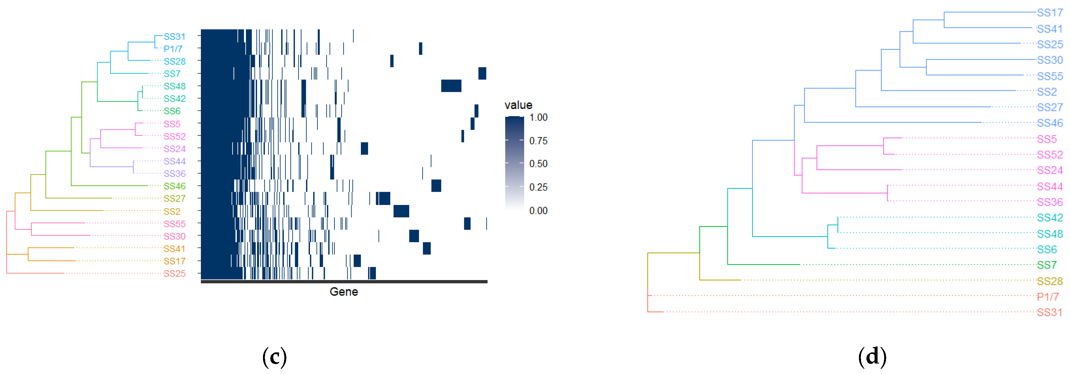 Microorganisms 12 00917 g003b