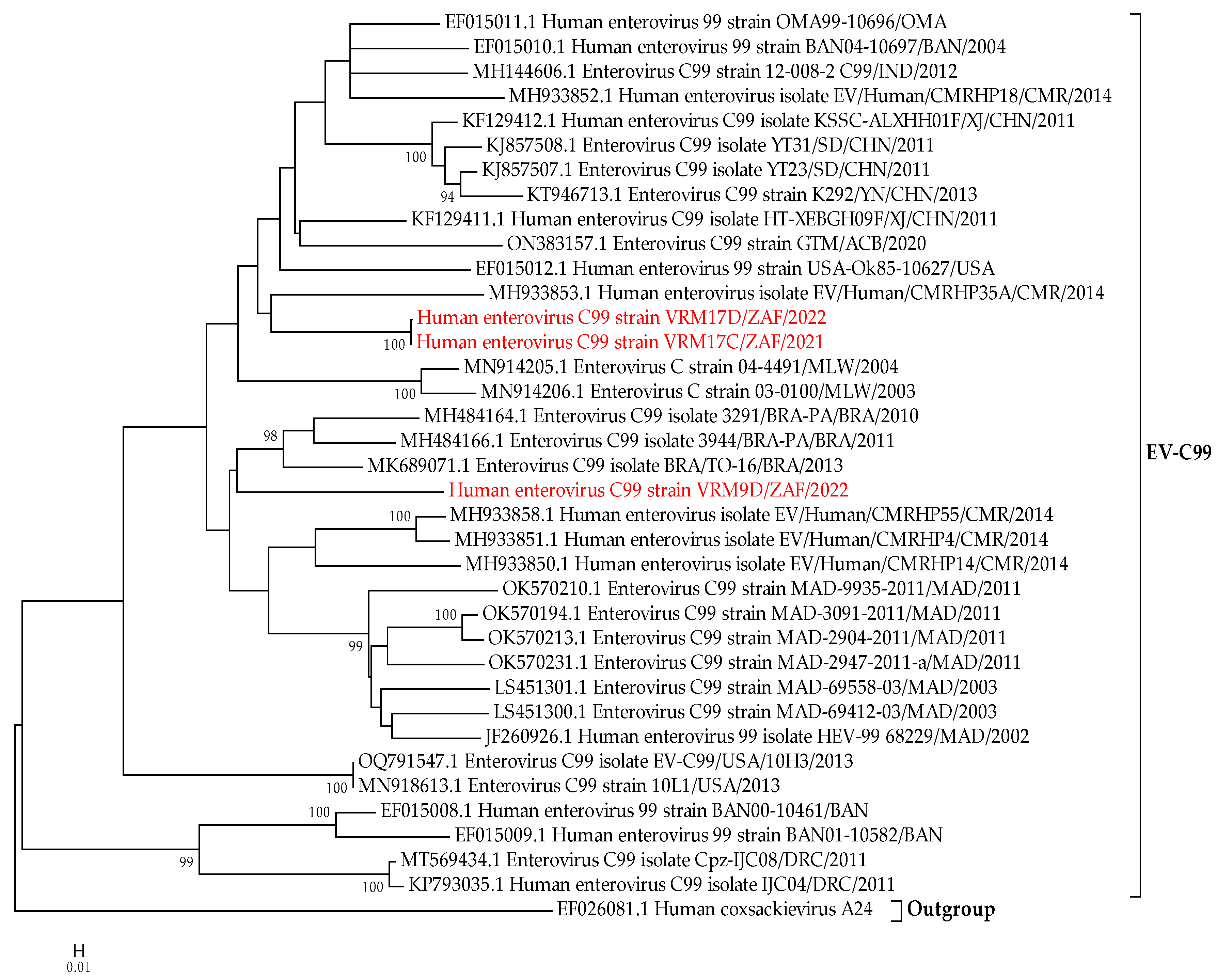 Microorganisms 12 00920 g003
