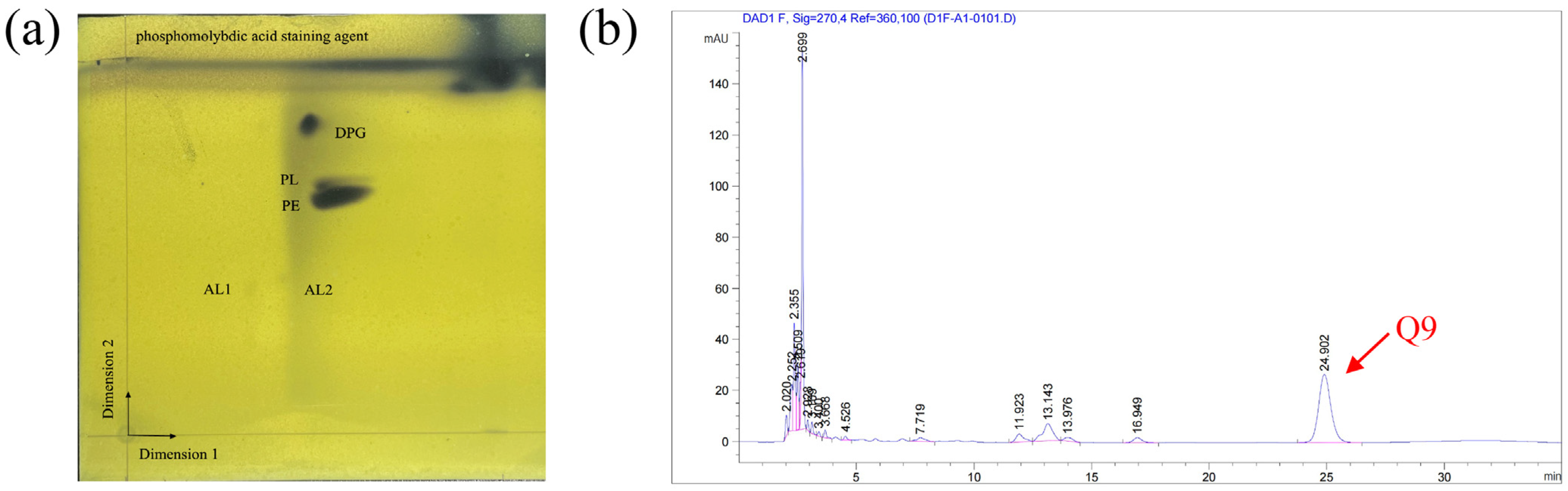 Microorganisms 12 00944 g004