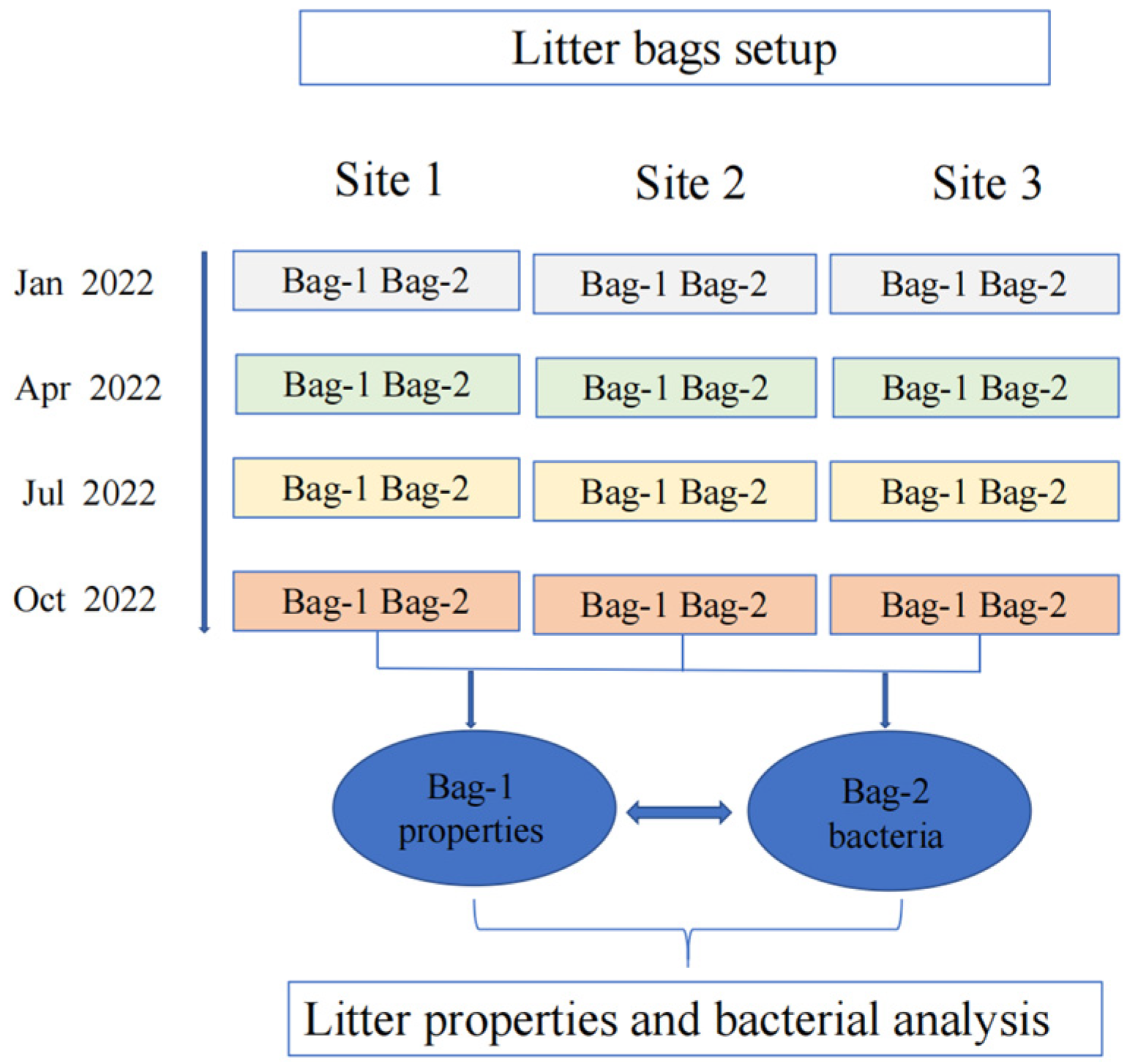 Microorganisms 12 00948 g002