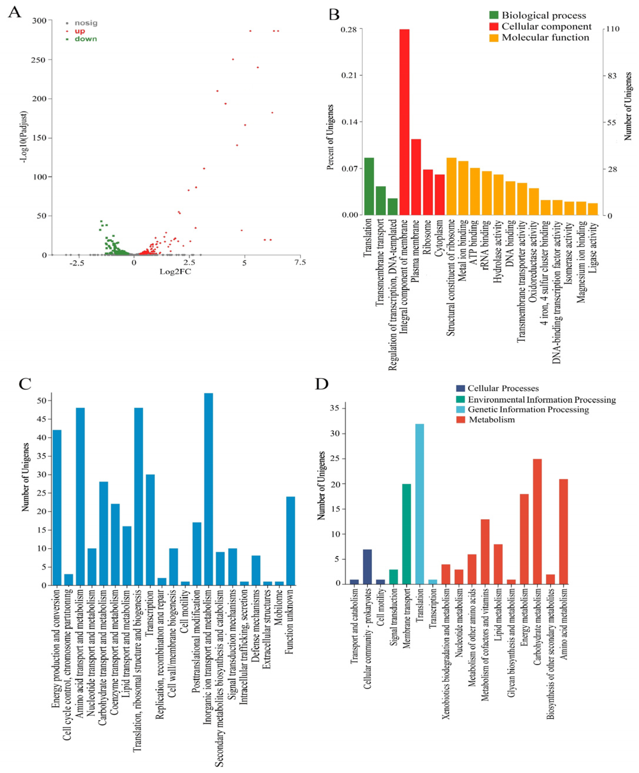 Microorganisms 12 00951 g001