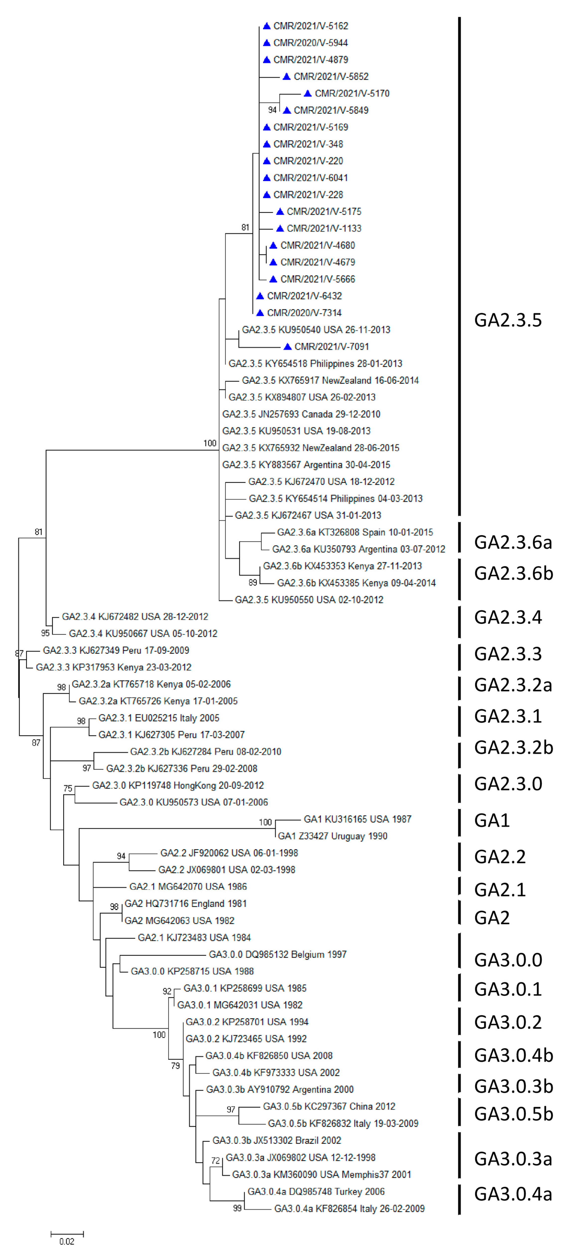 Microorganisms 12 00952 g001