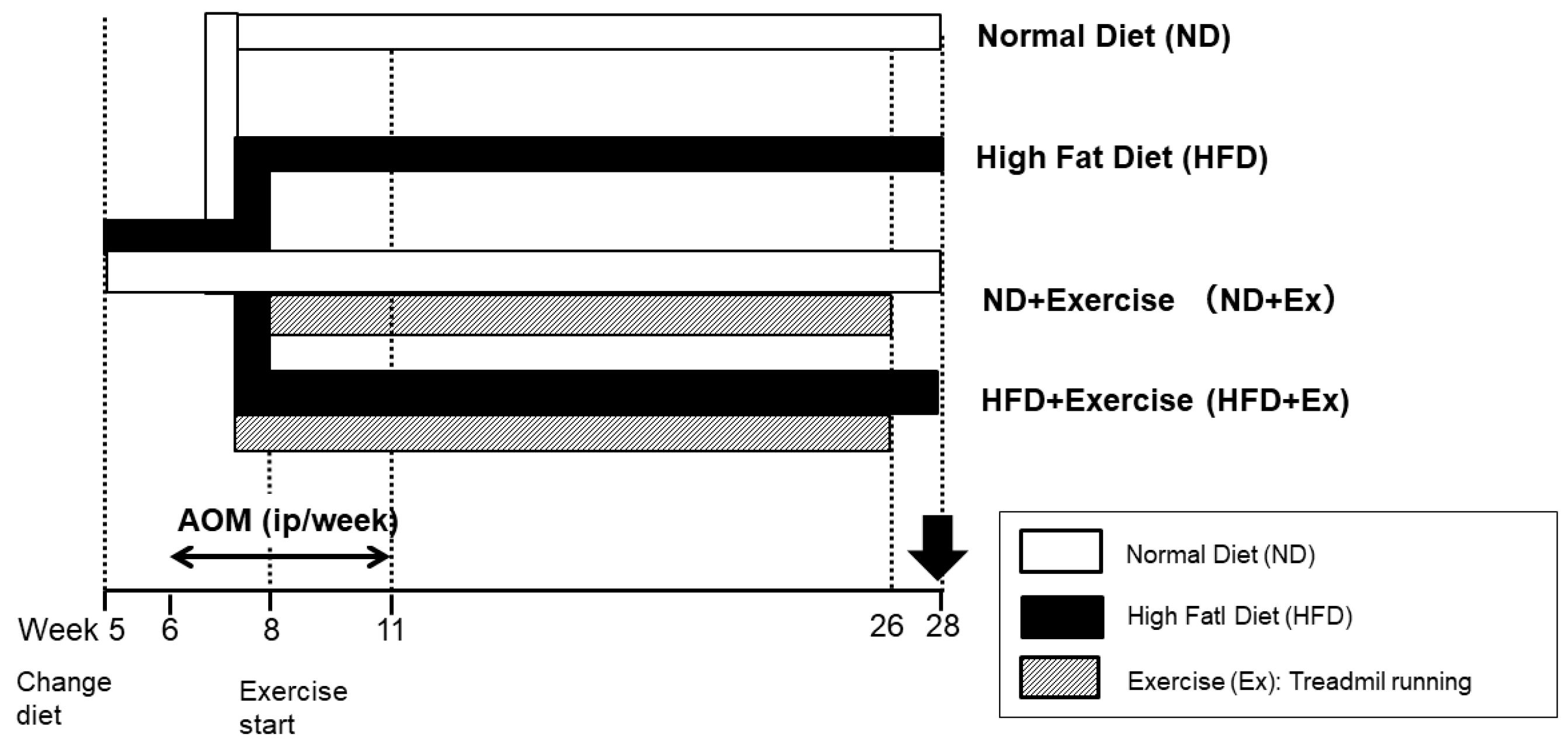 Microorganisms 12 00957 g001