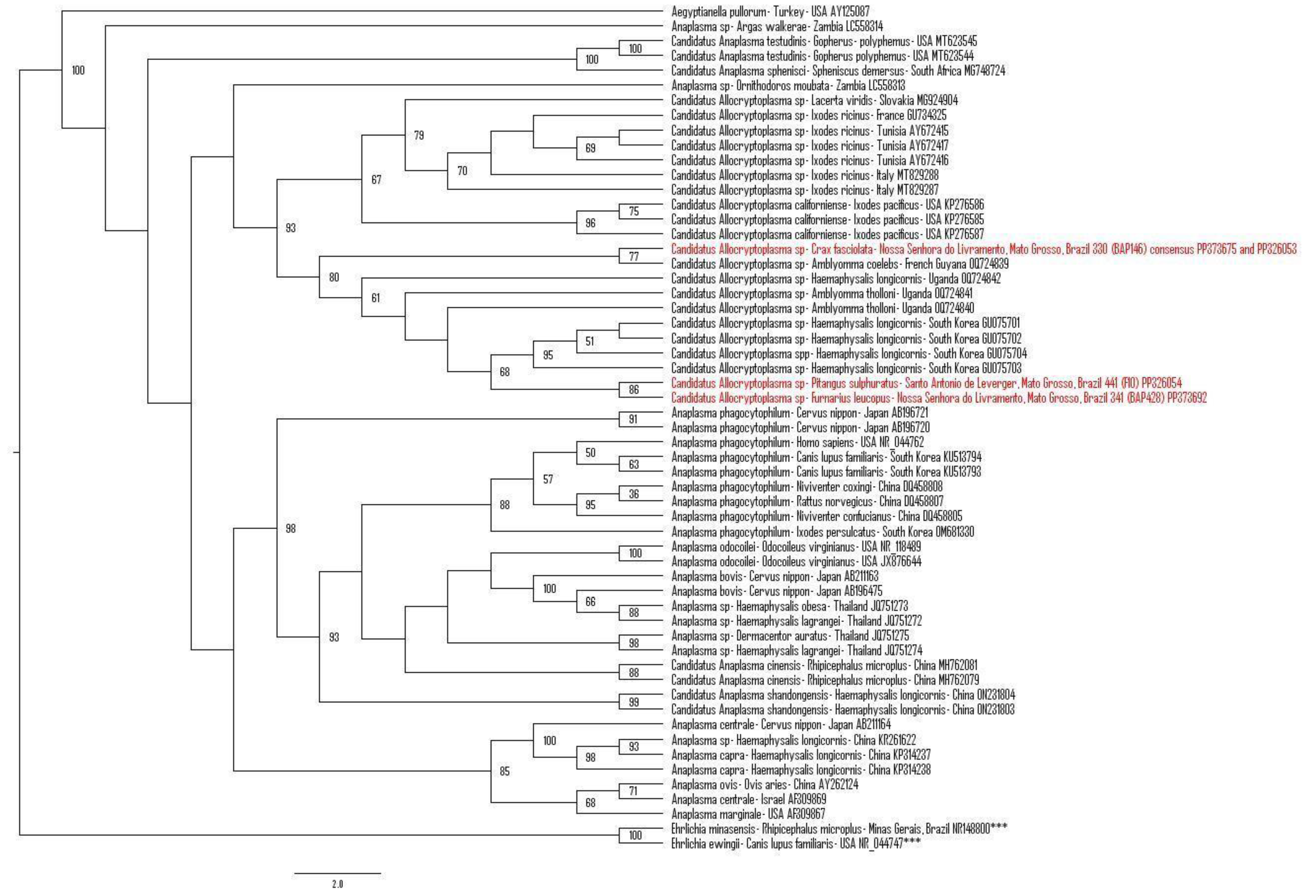 Microorganisms 12 00962 g002