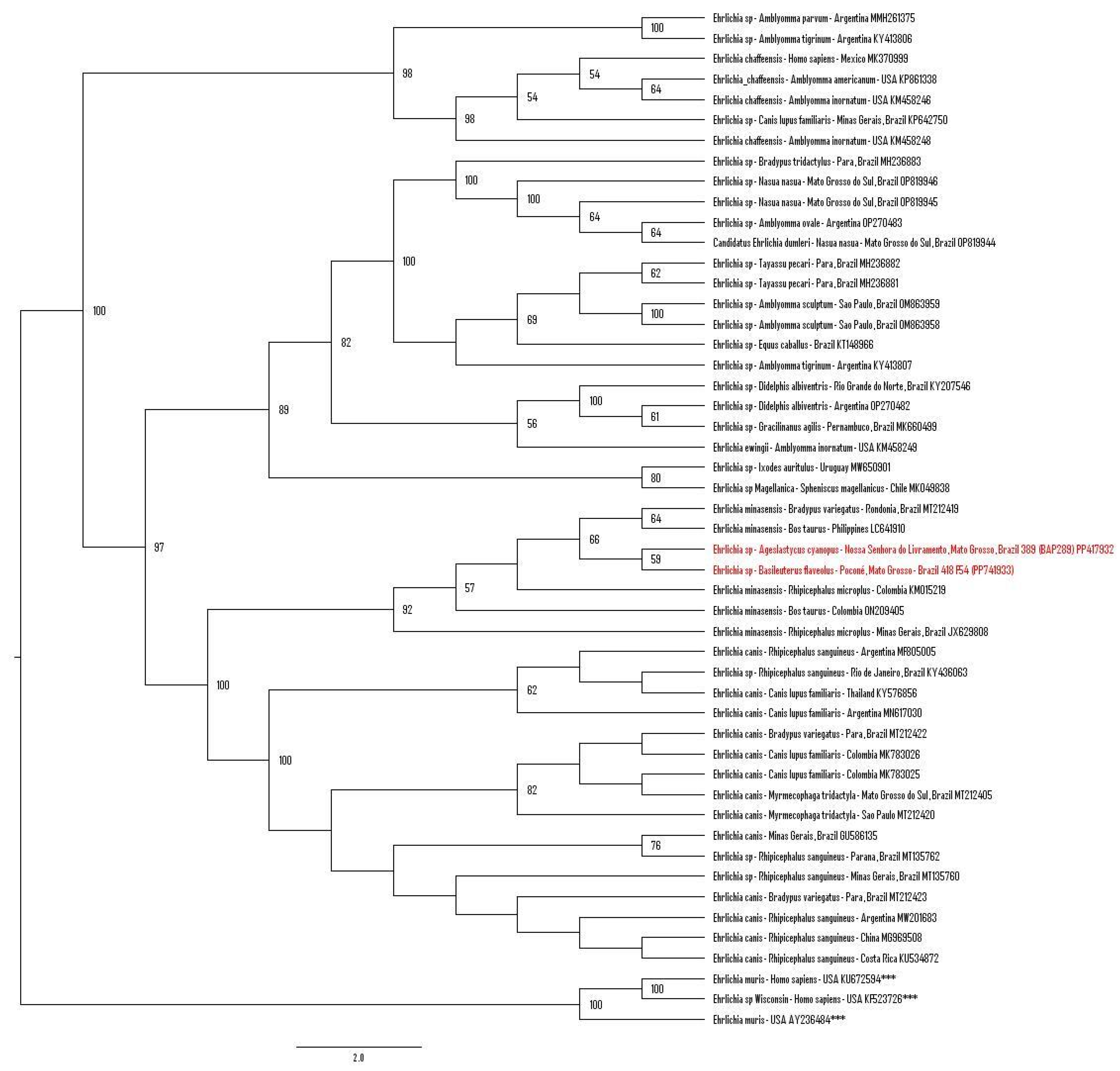 Microorganisms 12 00962 g004