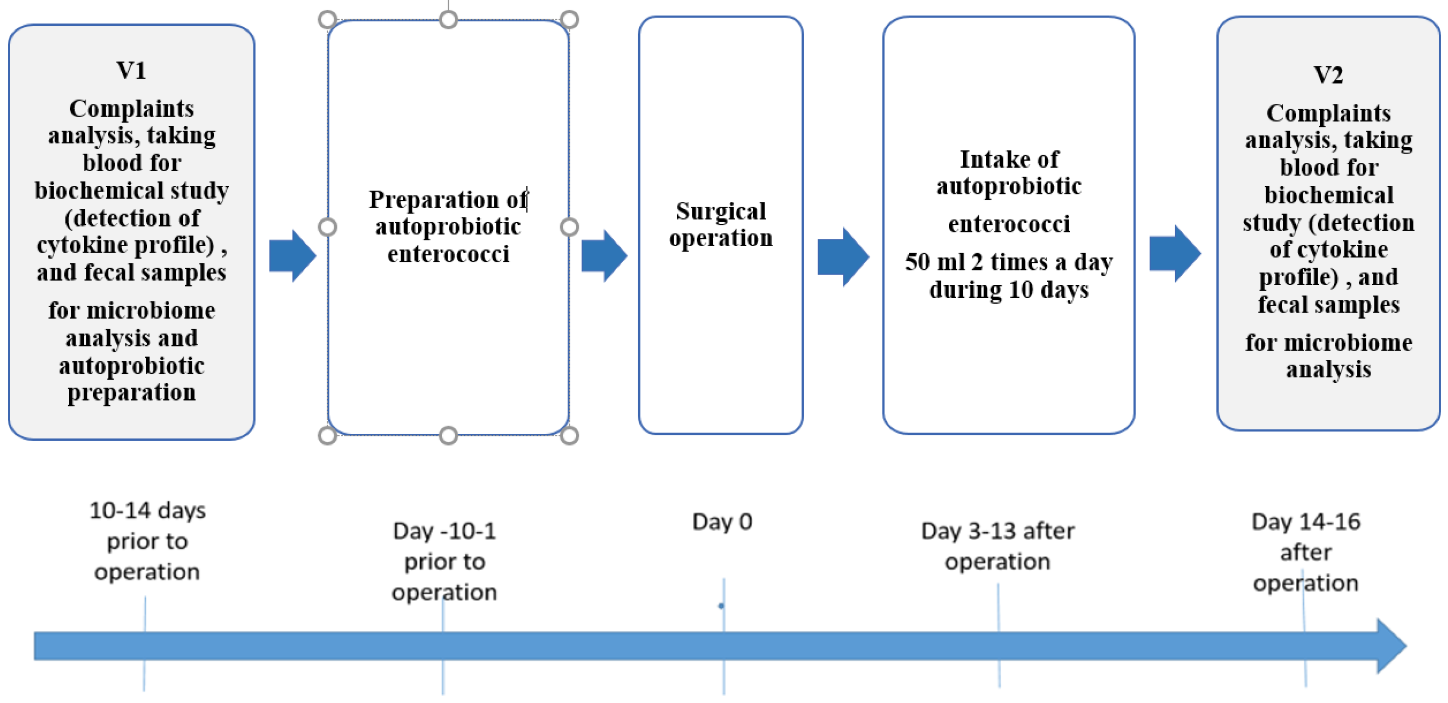 Microorganisms 12 00980 g001
