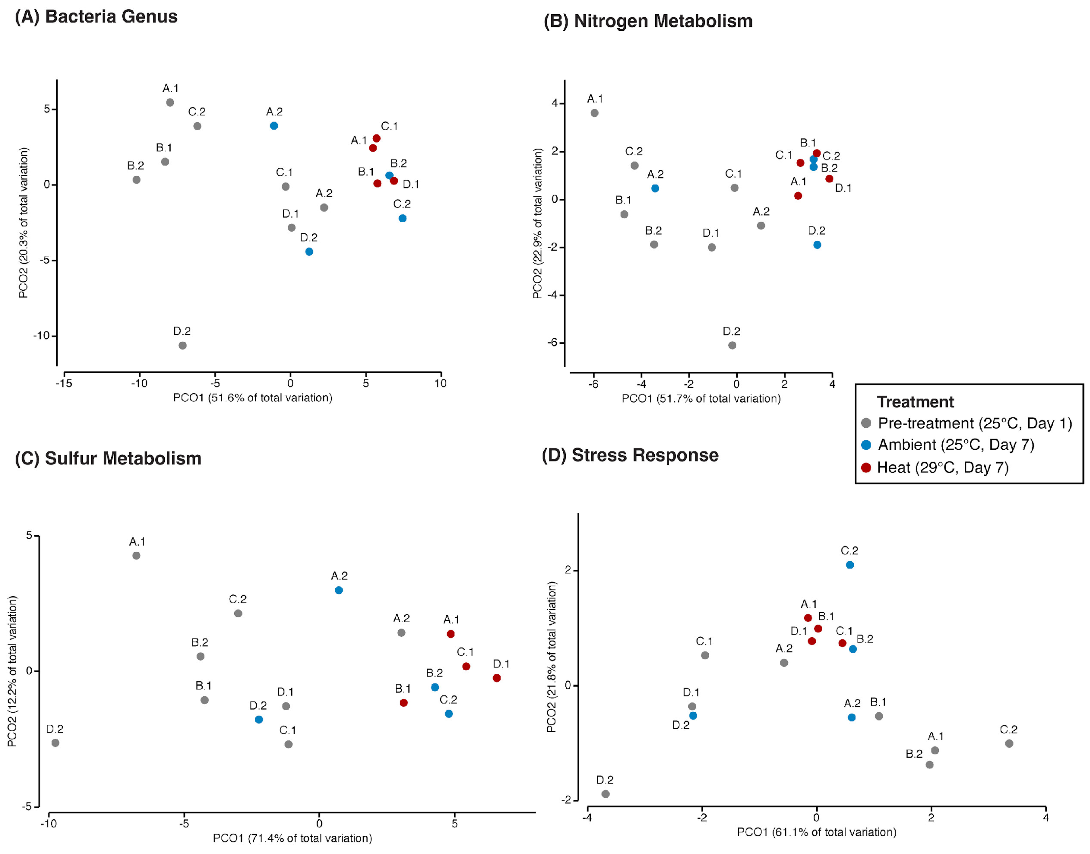 Microorganisms 12 01005 g002