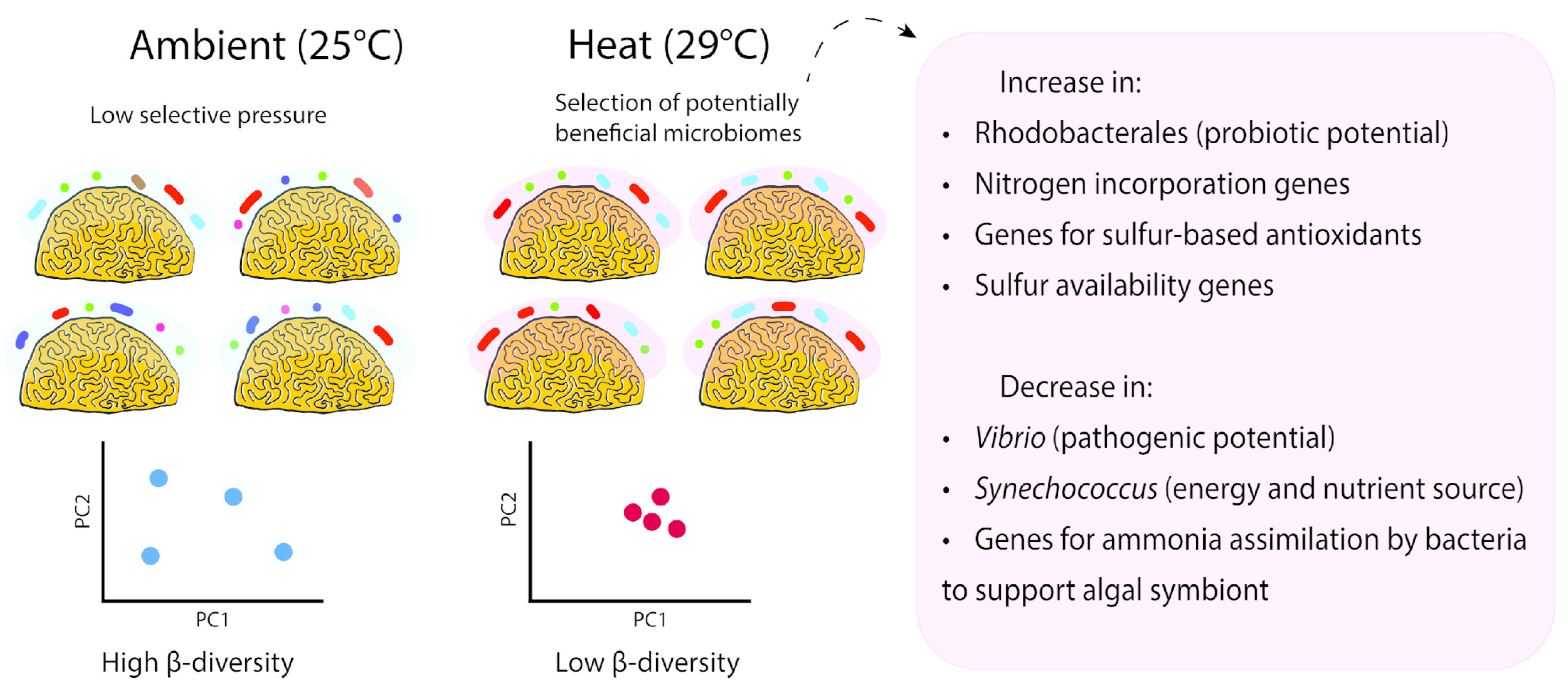 Microorganisms 12 01005 g006
