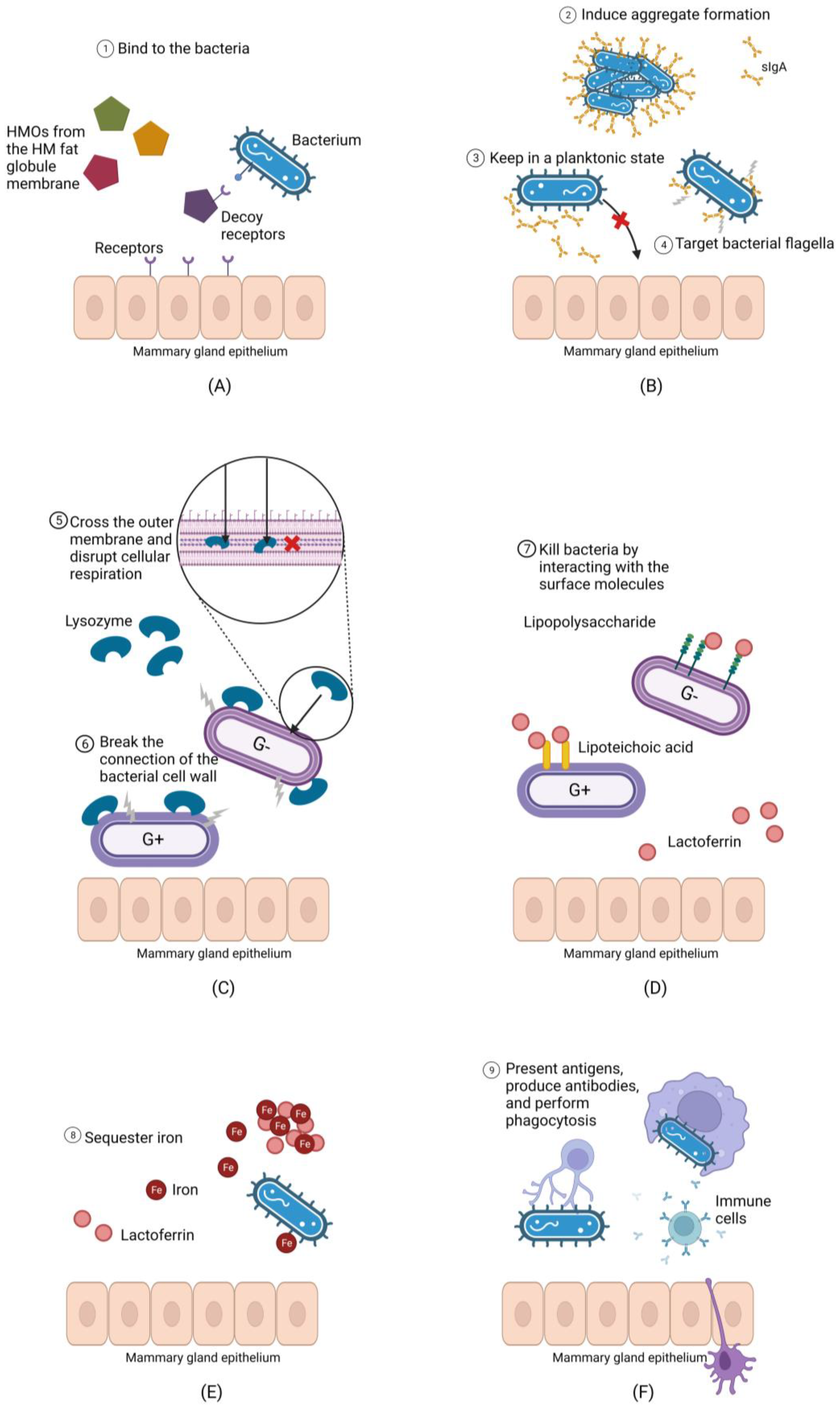 Microorganisms 12 01009 g001