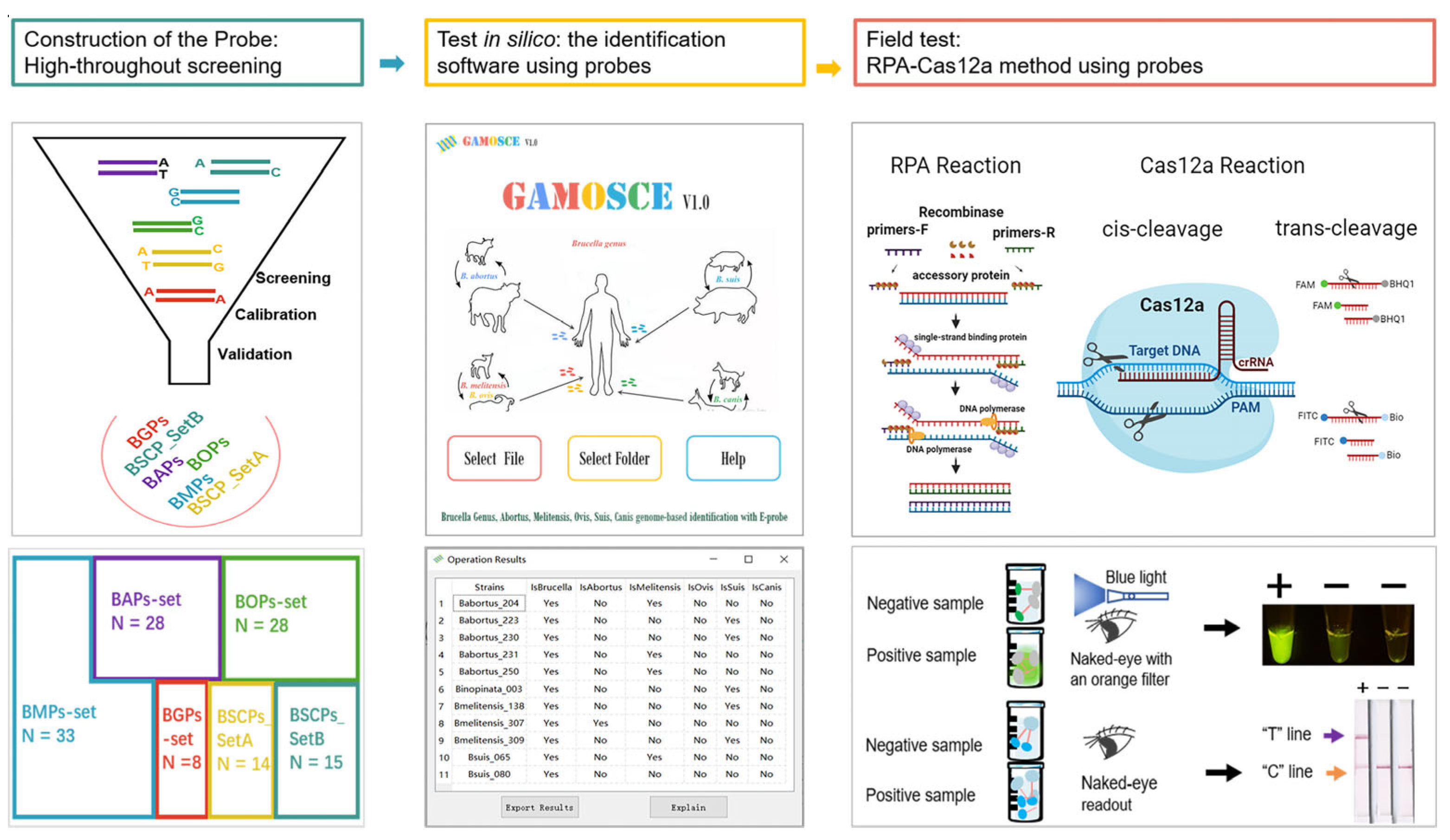 Microorganisms 12 01018 g001