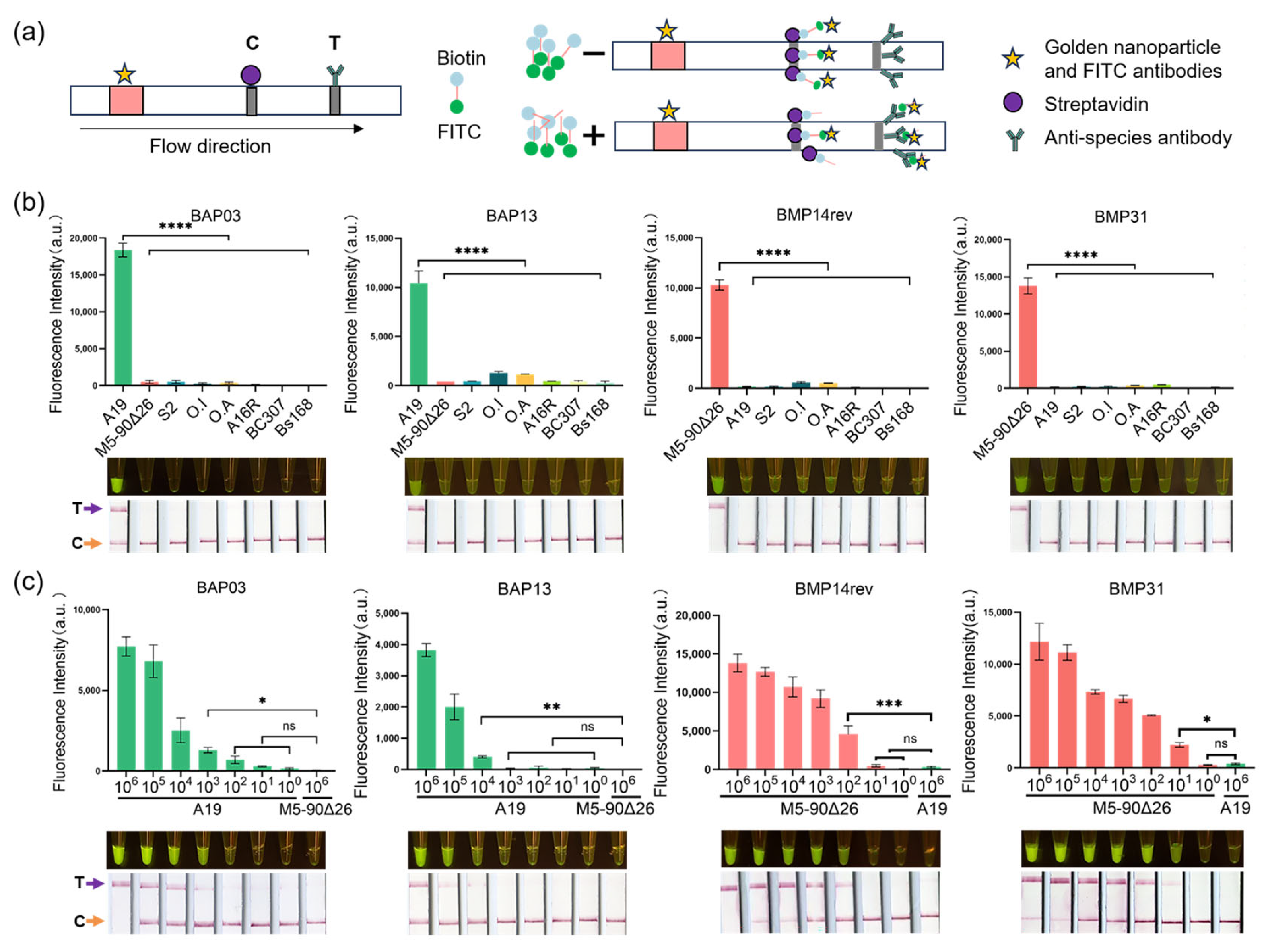 Microorganisms 12 01018 g004