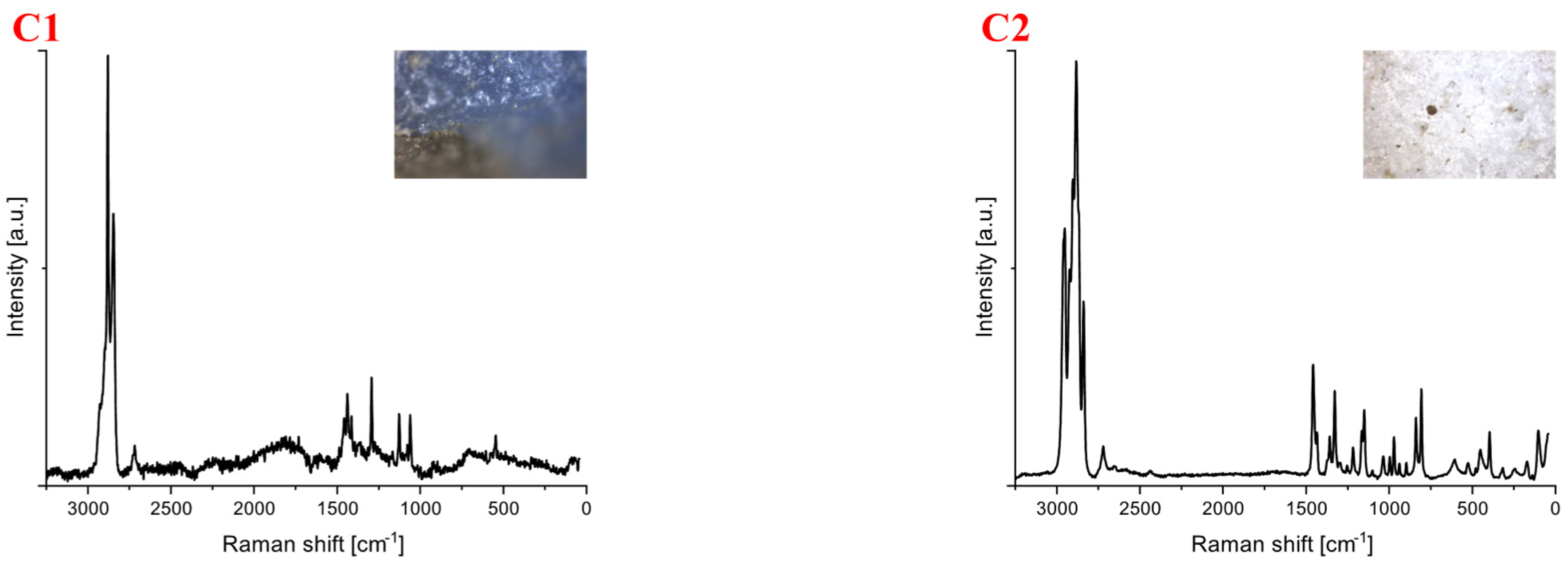 Microplastics 01 00019 g004a Microplastics 01 00019 g004a
