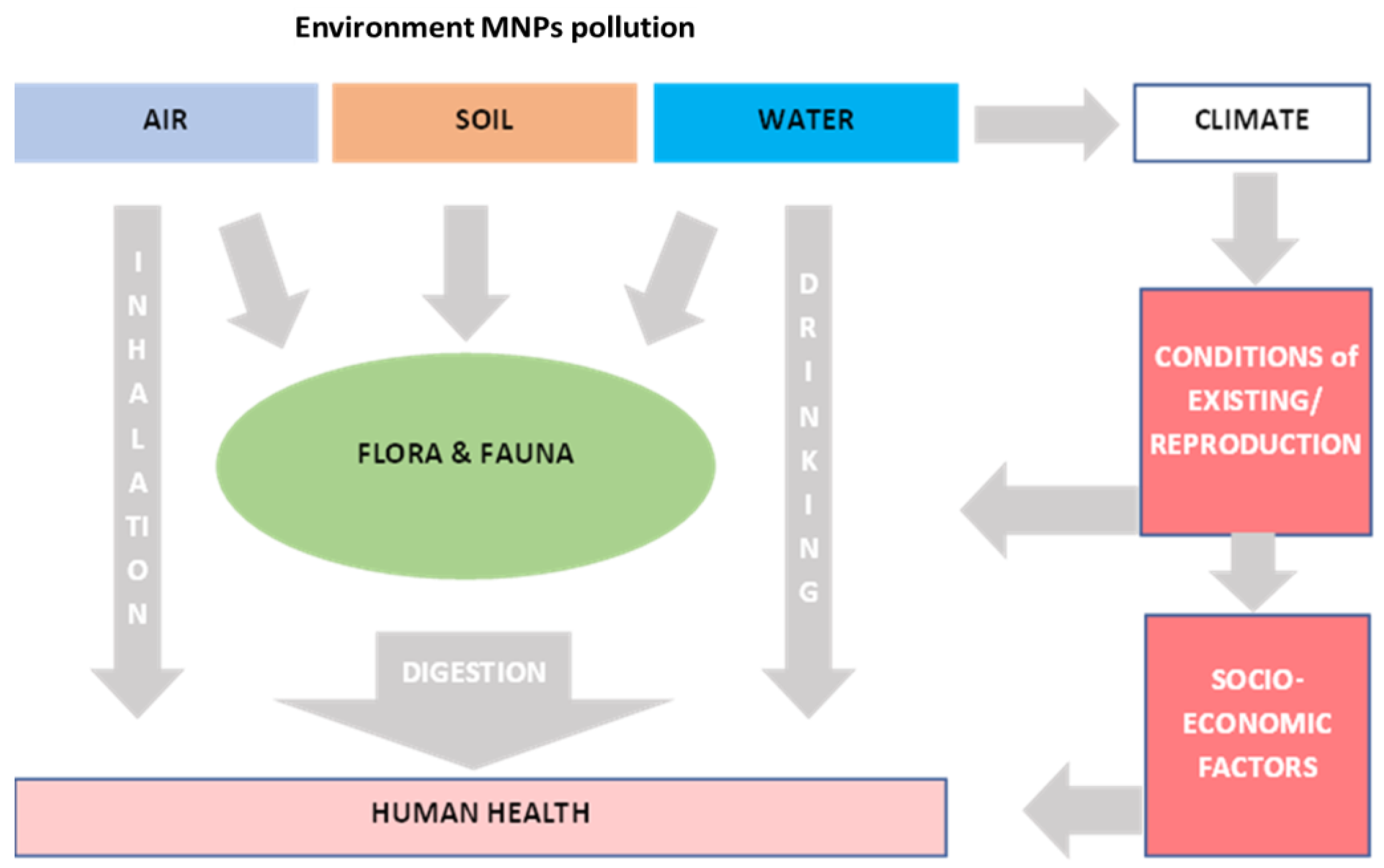 Microplastics 03 00006 g001