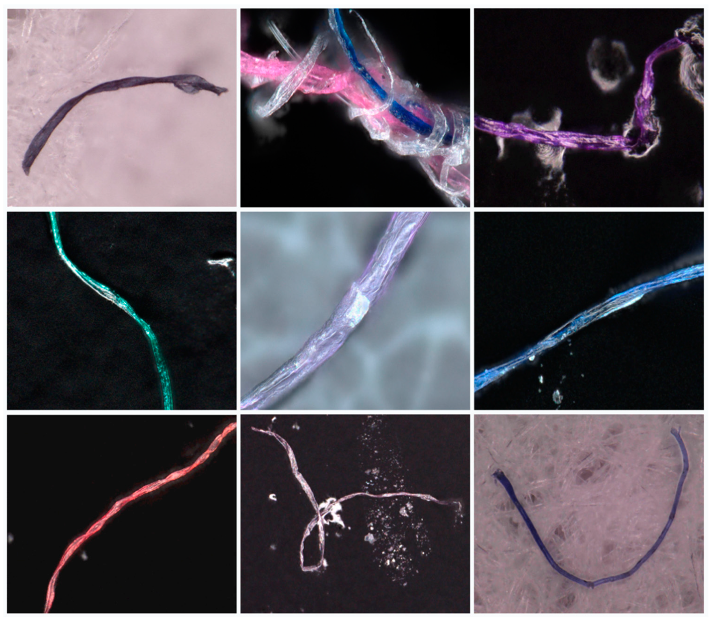 Microplastics 03 00009 g005