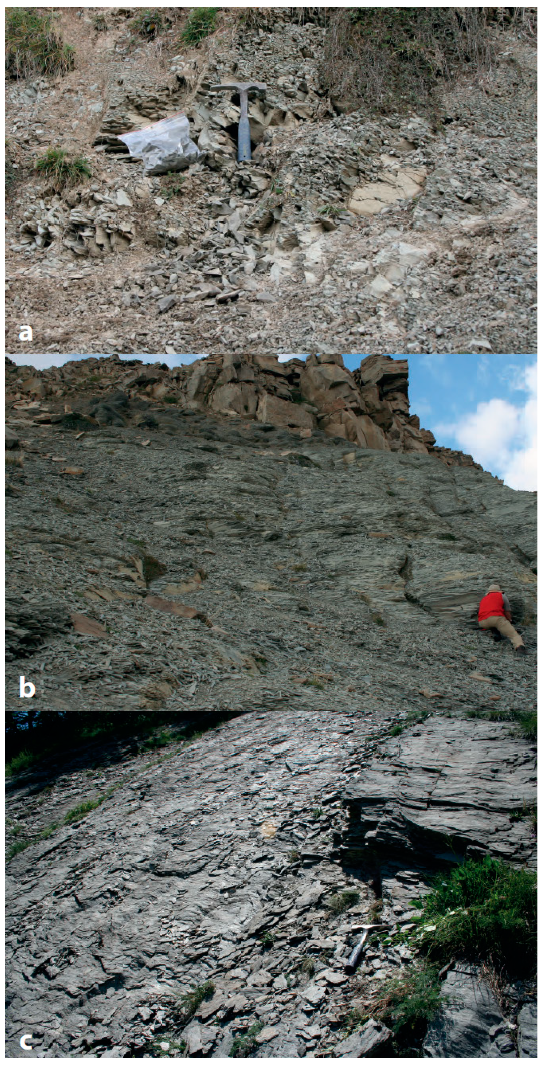 Minerals 04 00667 g002