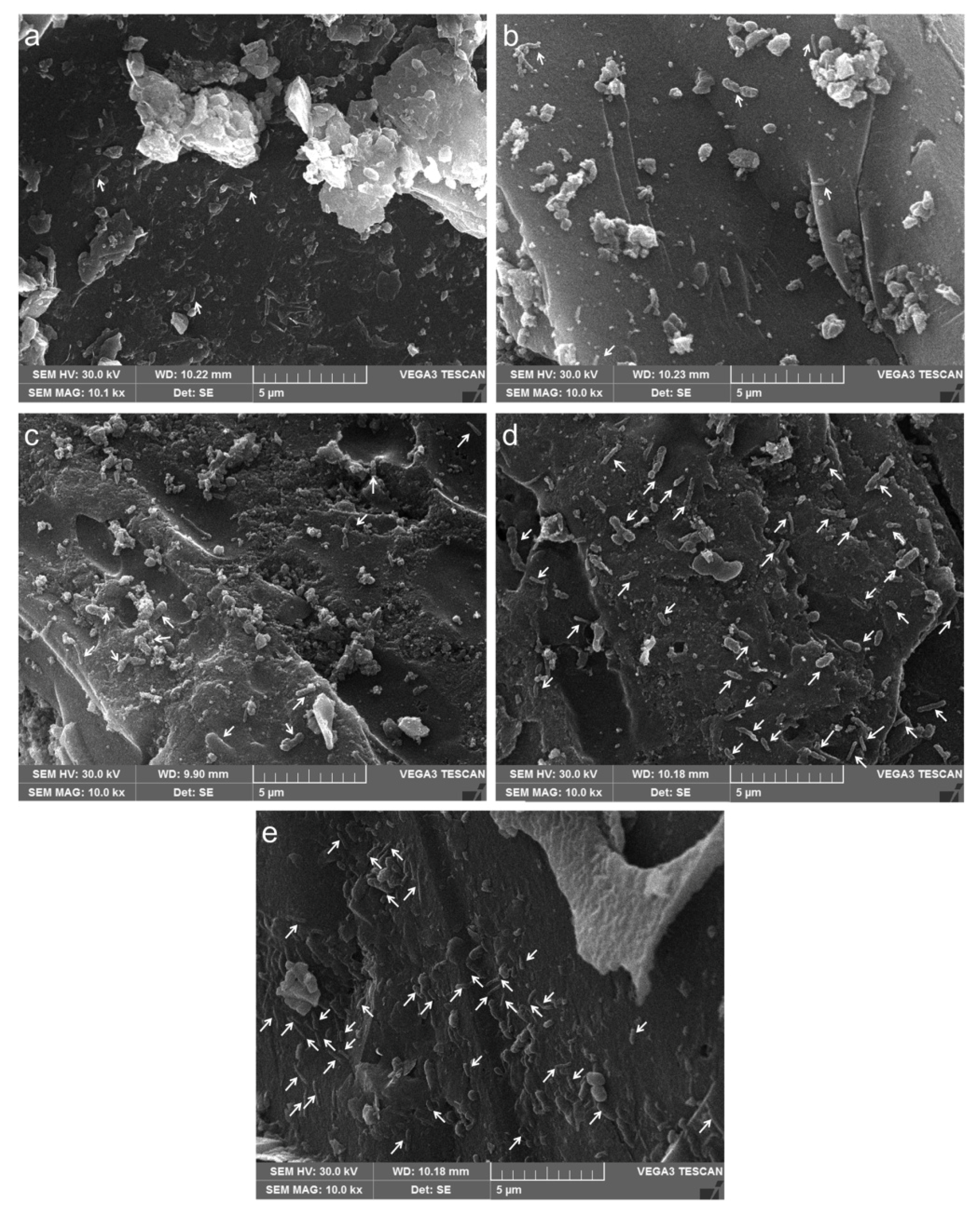 Minerals 08 00301 g003