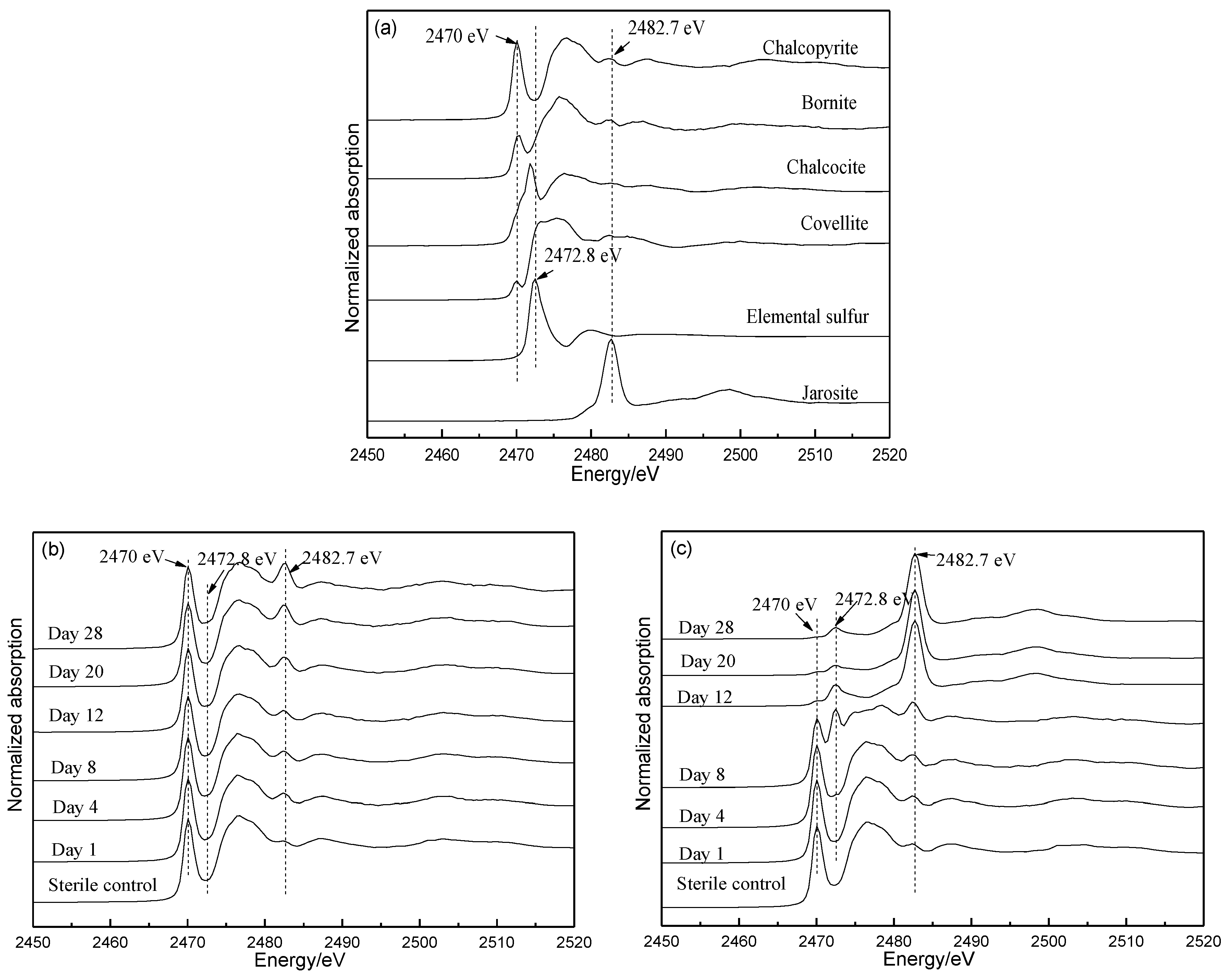 Minerals 08 00382 g007a