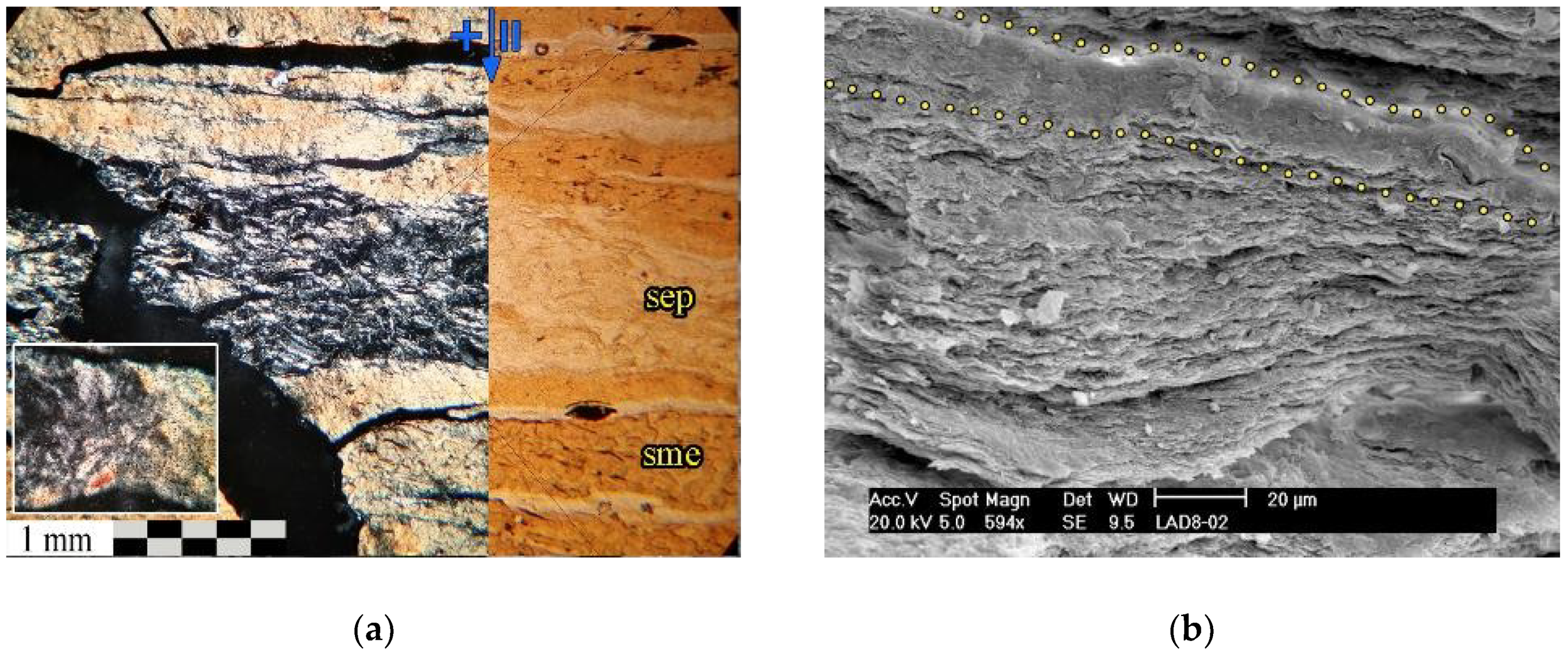 Minerals 08 00418 g007a