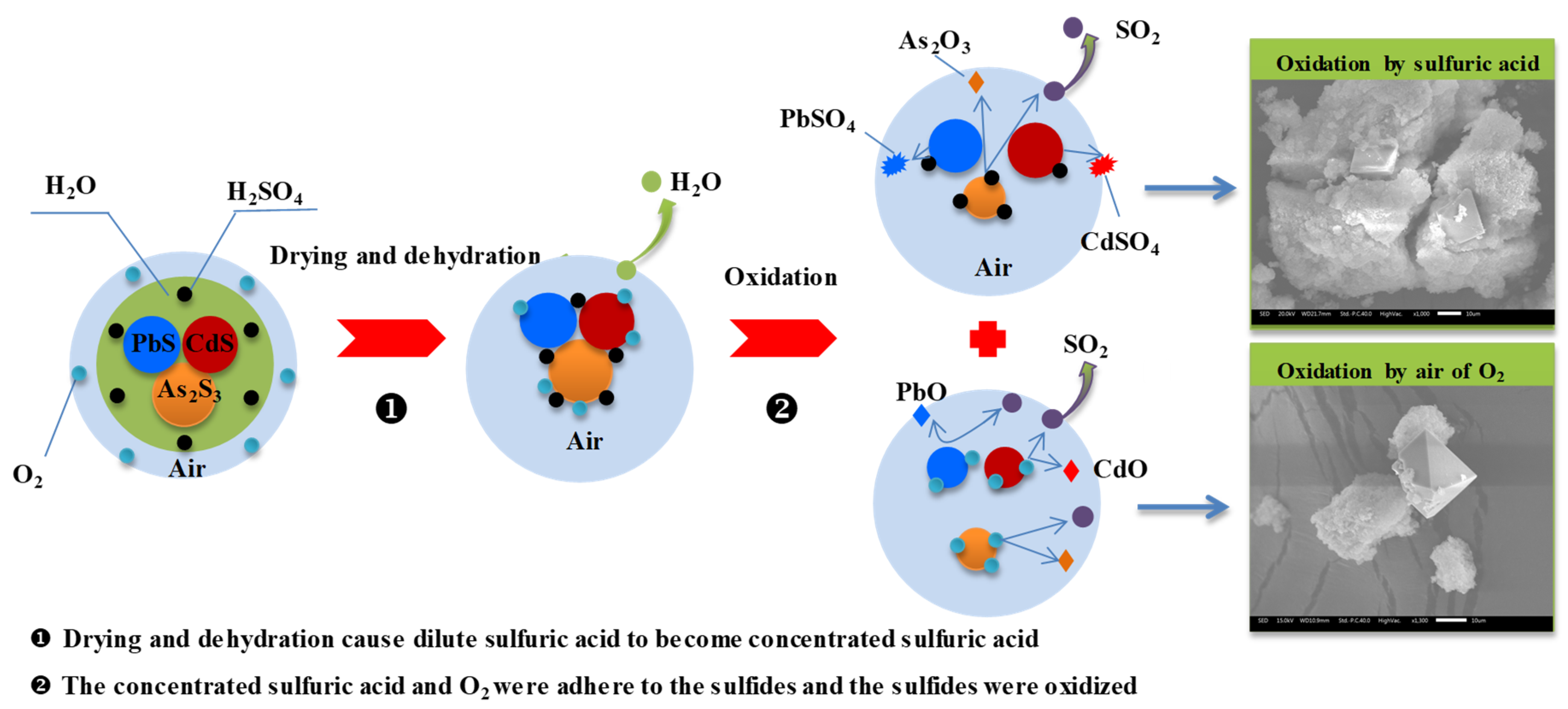 Minerals 09 00130 g012