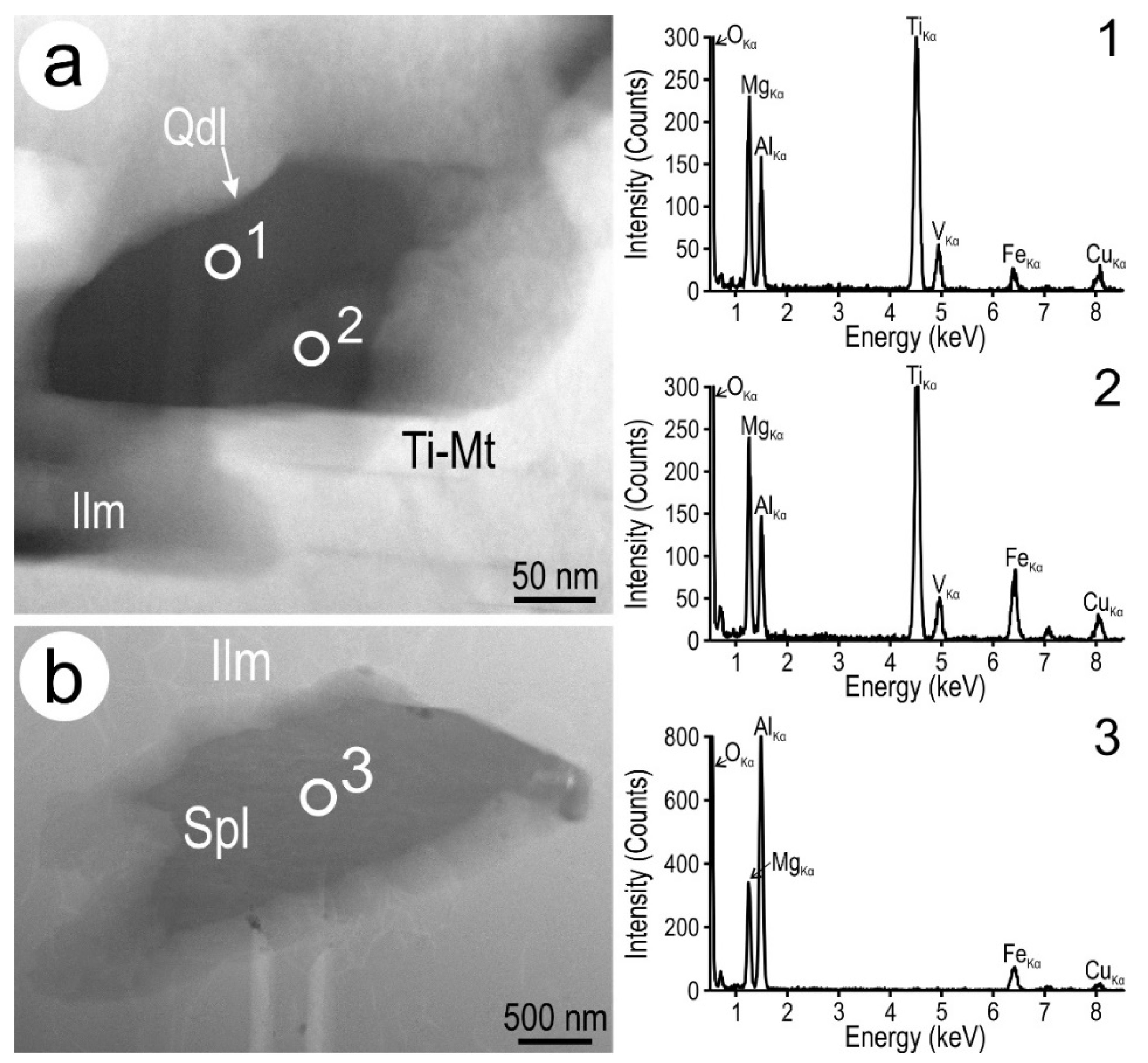Minerals 09 00513 g008