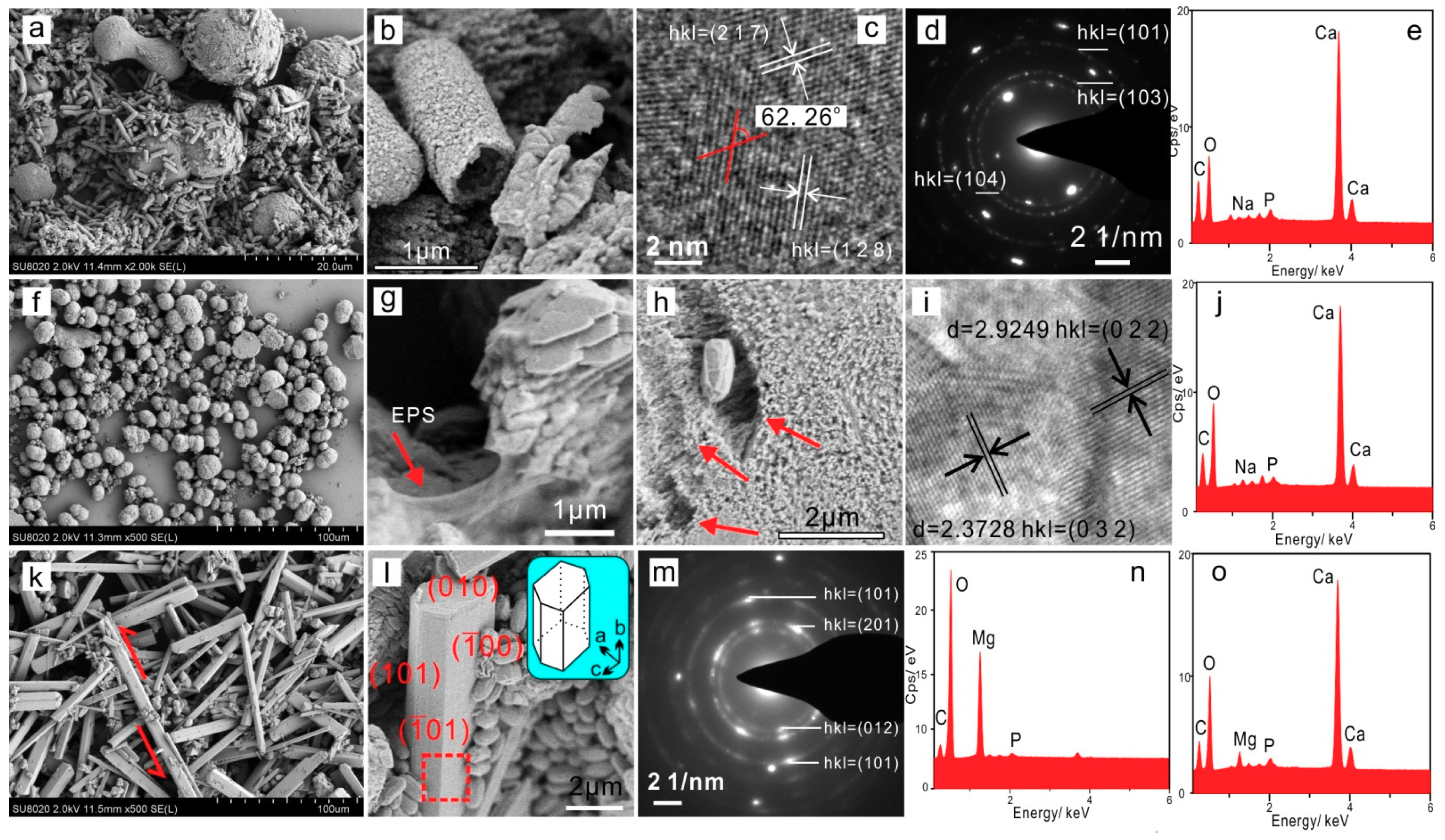 Minerals 09 00526 g006