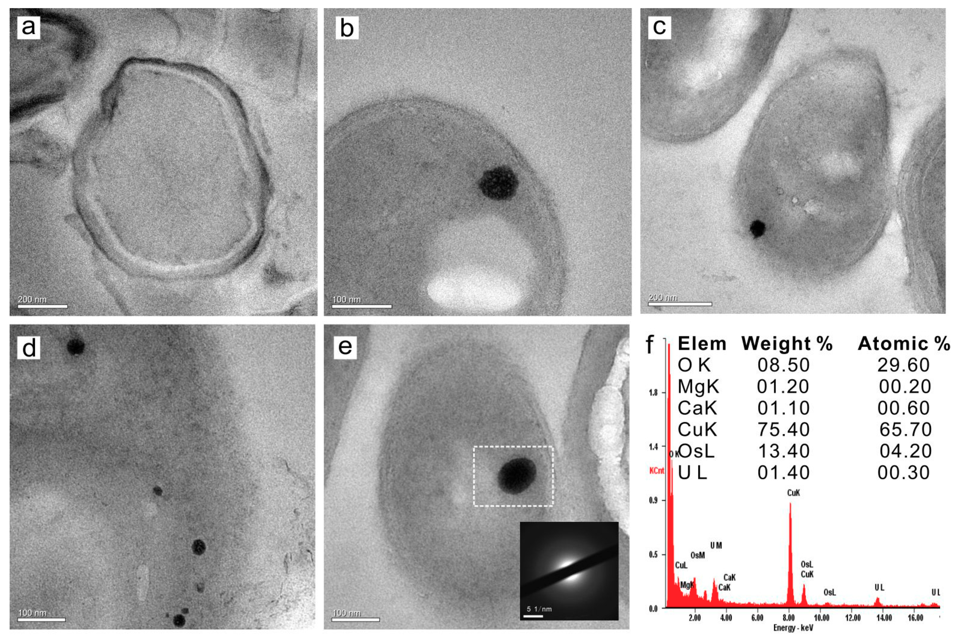 Minerals 09 00526 g008