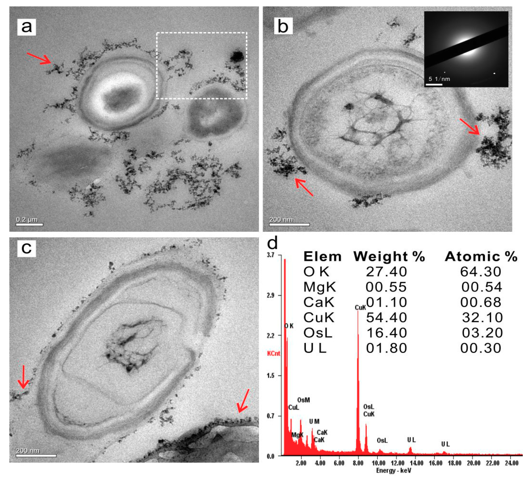 Minerals 09 00526 g010