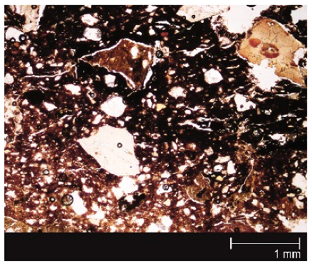Minerals 10 00931 i002