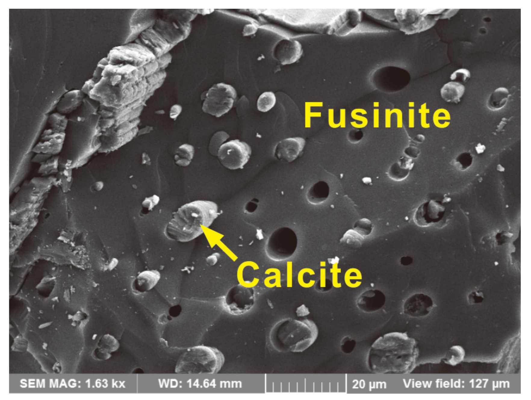 Minerals 11 01024 g009
