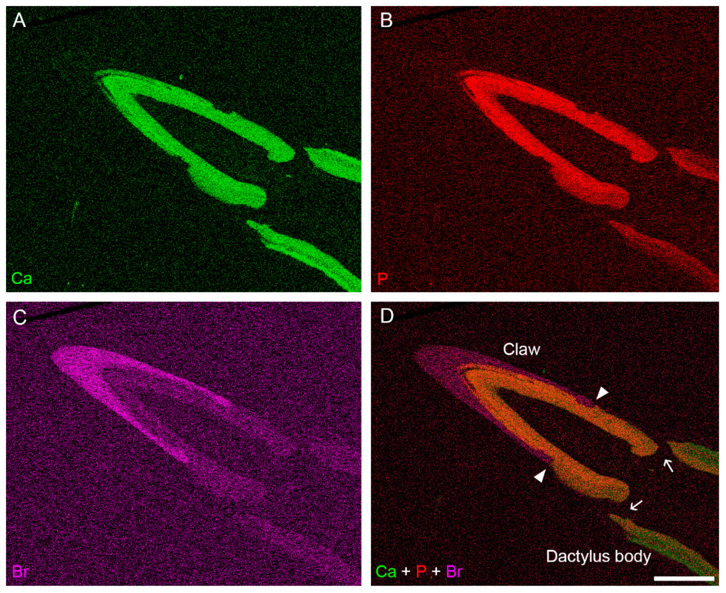 Minerals 11 01373 g003