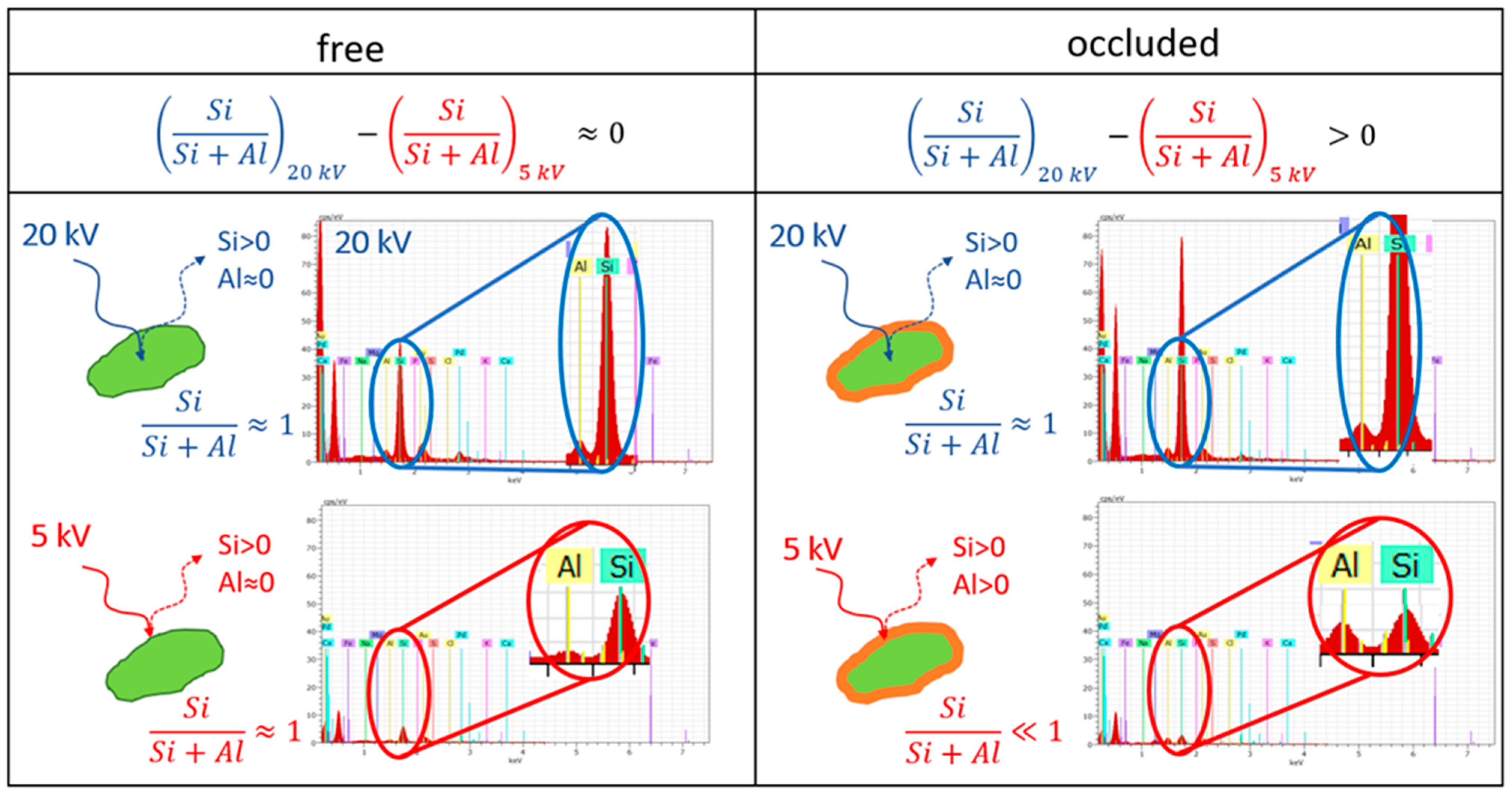 Minerals 12 01555 g001