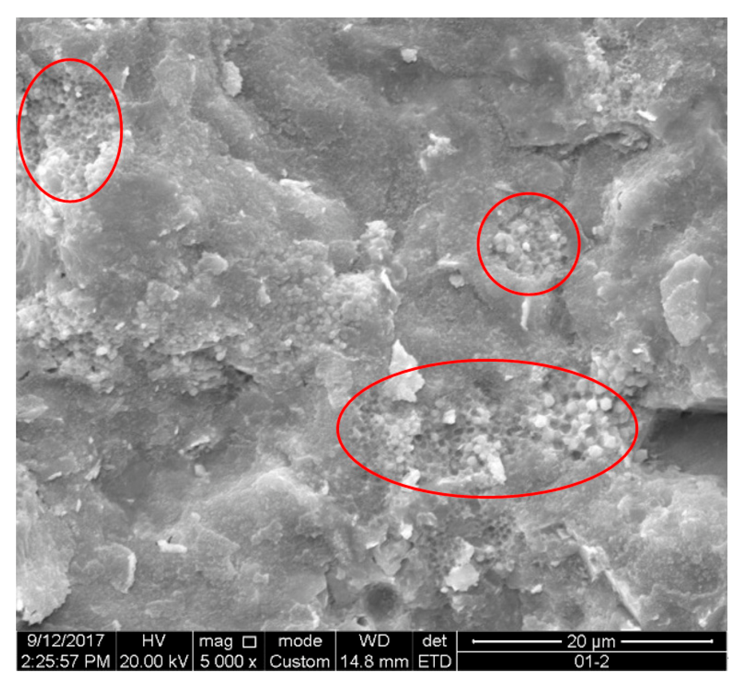 Minerals 13 00281 g005