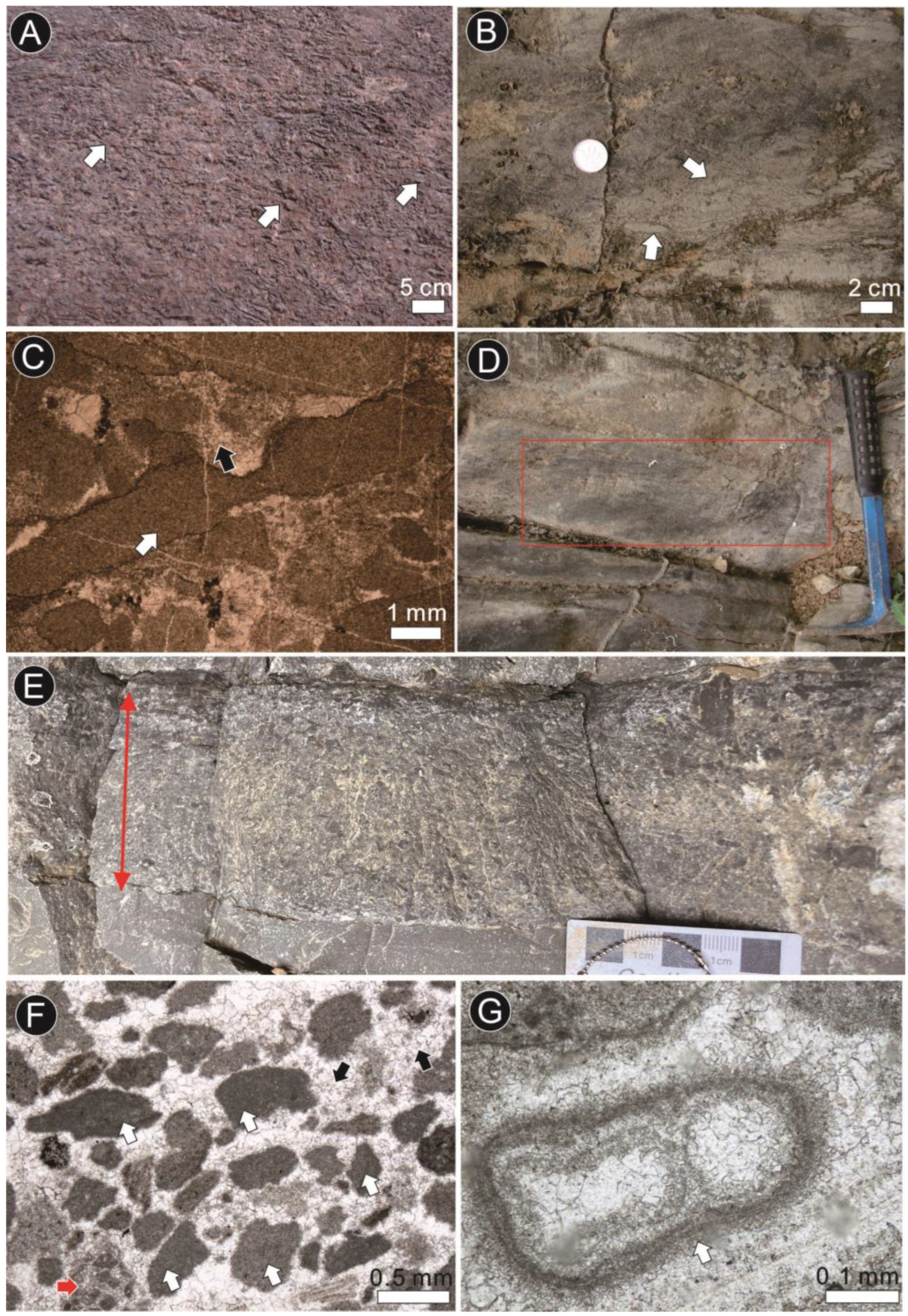 Minerals 13 01222 g008