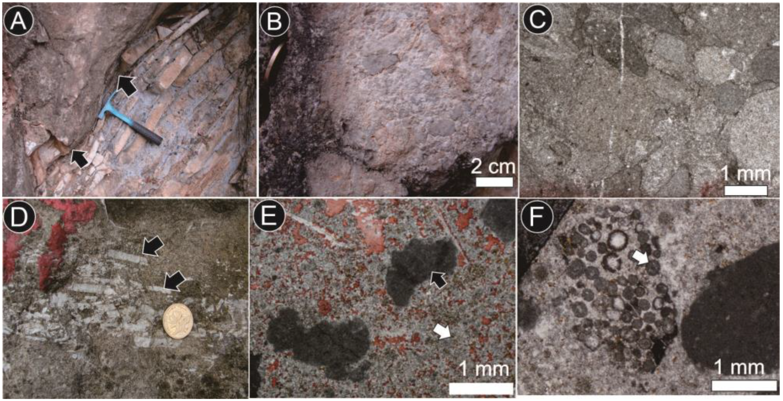 Minerals 13 01222 g011