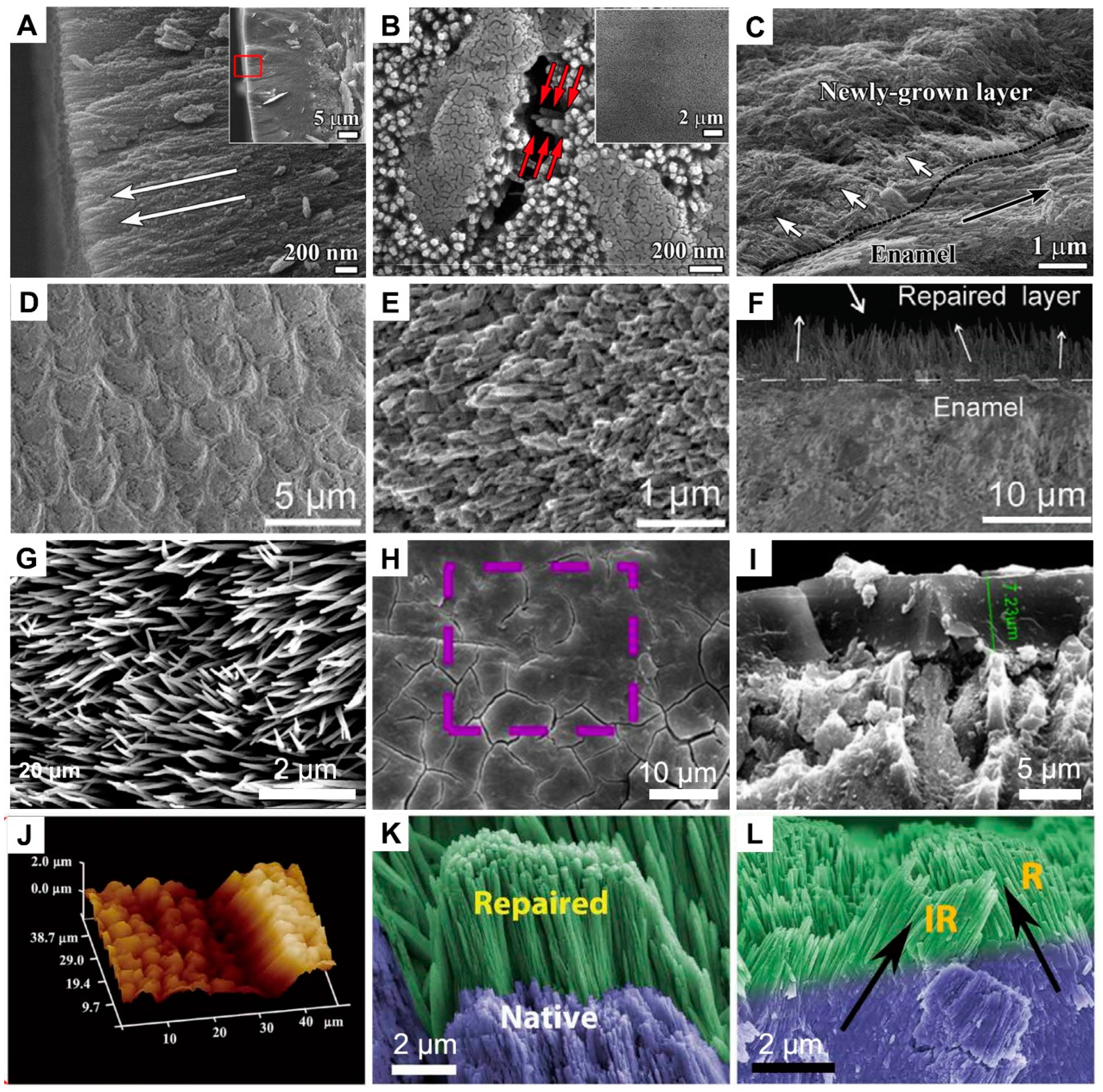 Minerals 13 01433 g003