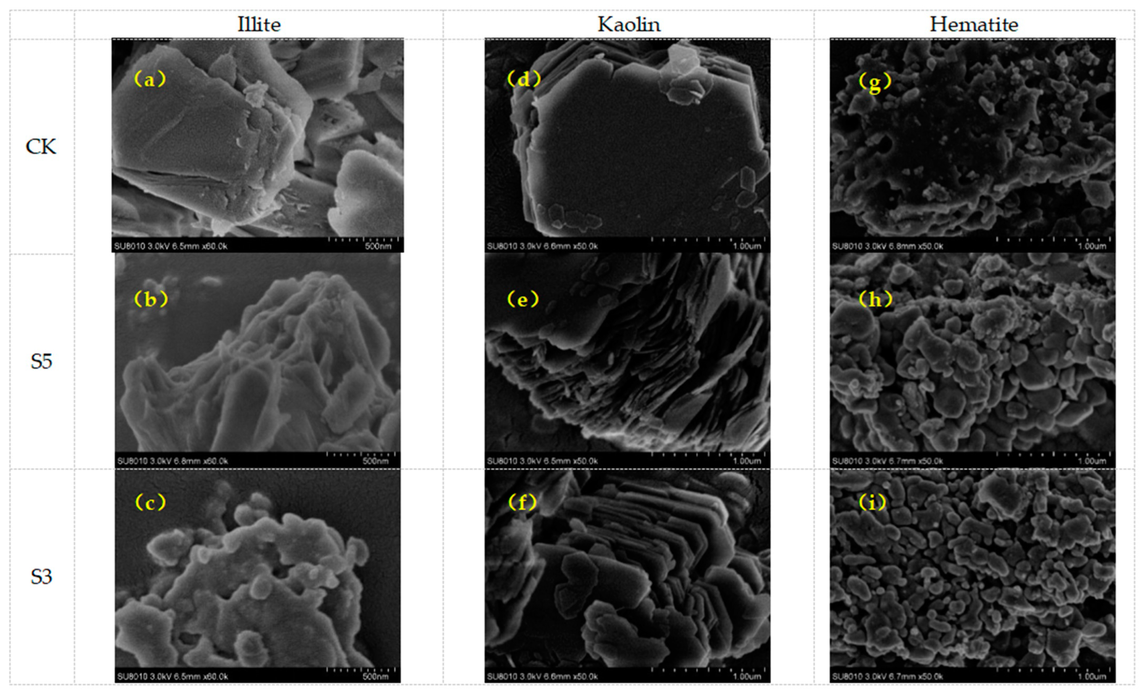 Minerals 13 01448 g002