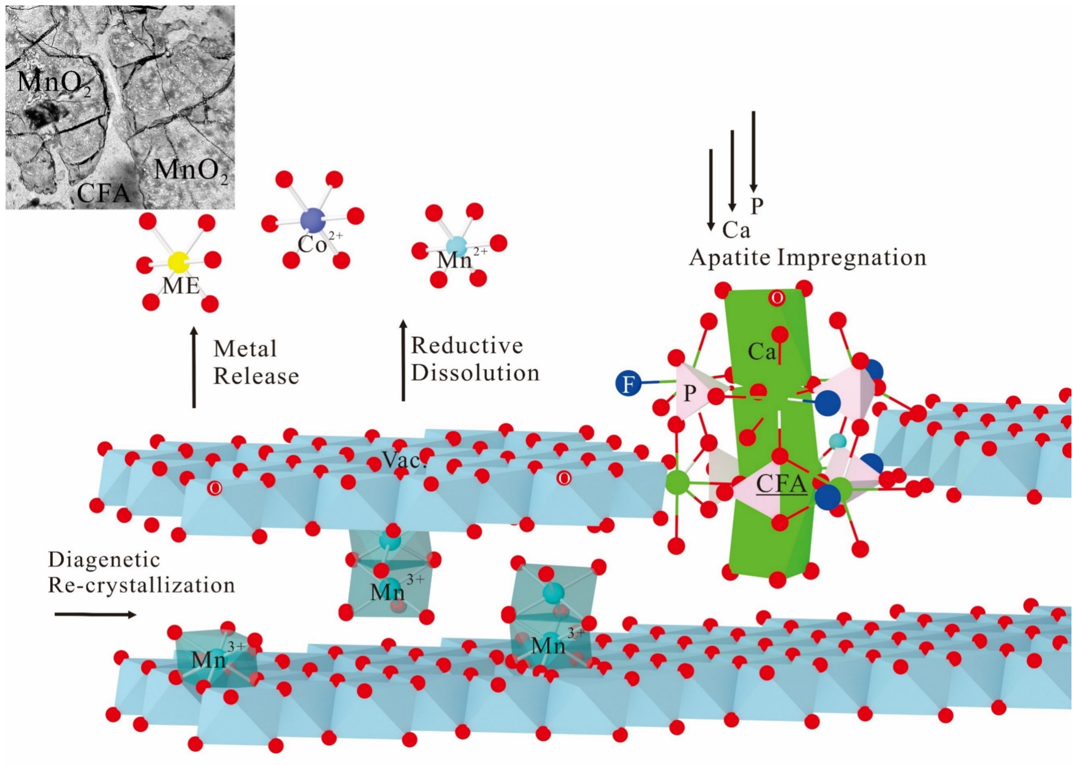 Minerals 13 01532 g004