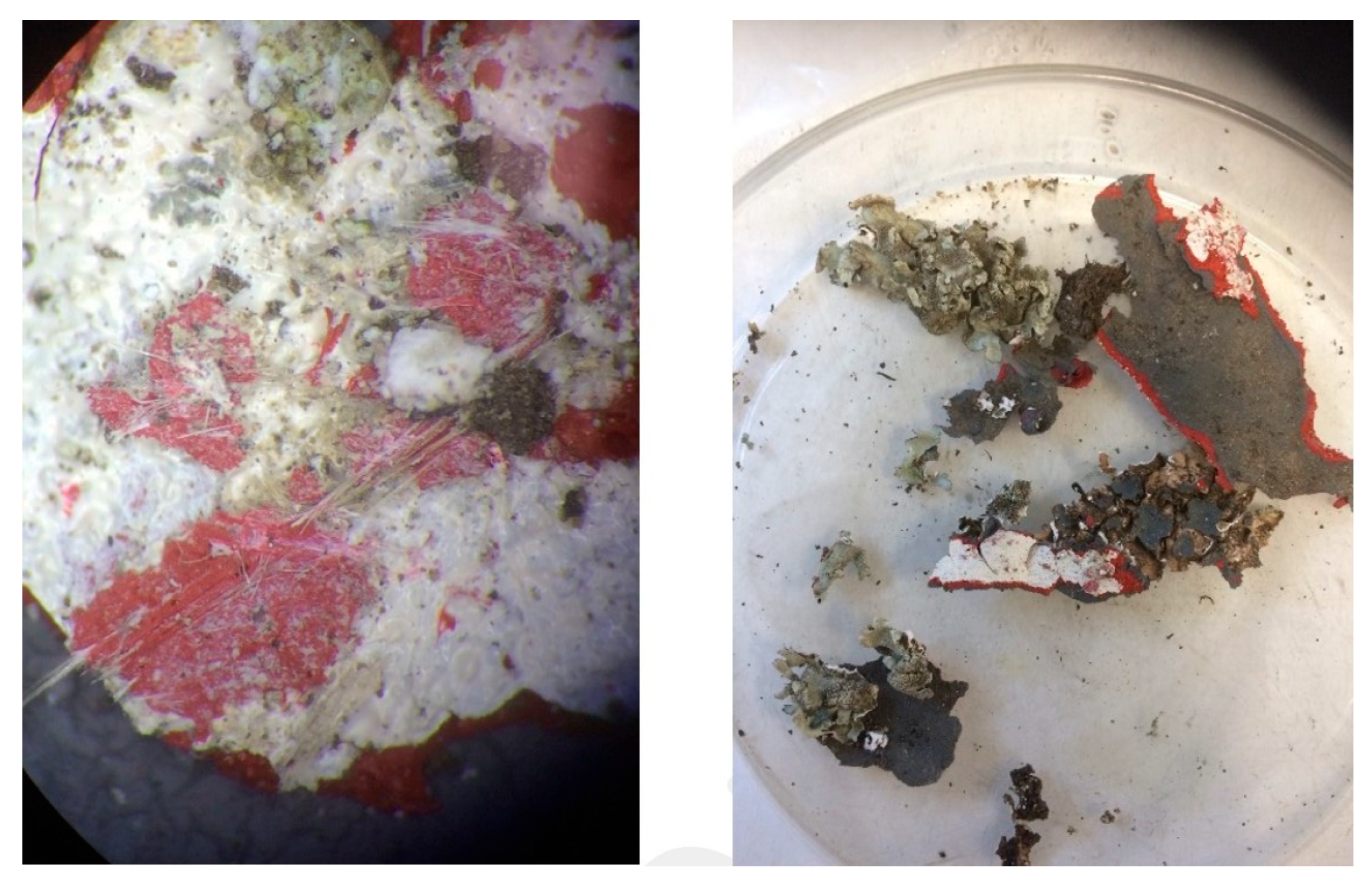 Minerals 14 00106 g007