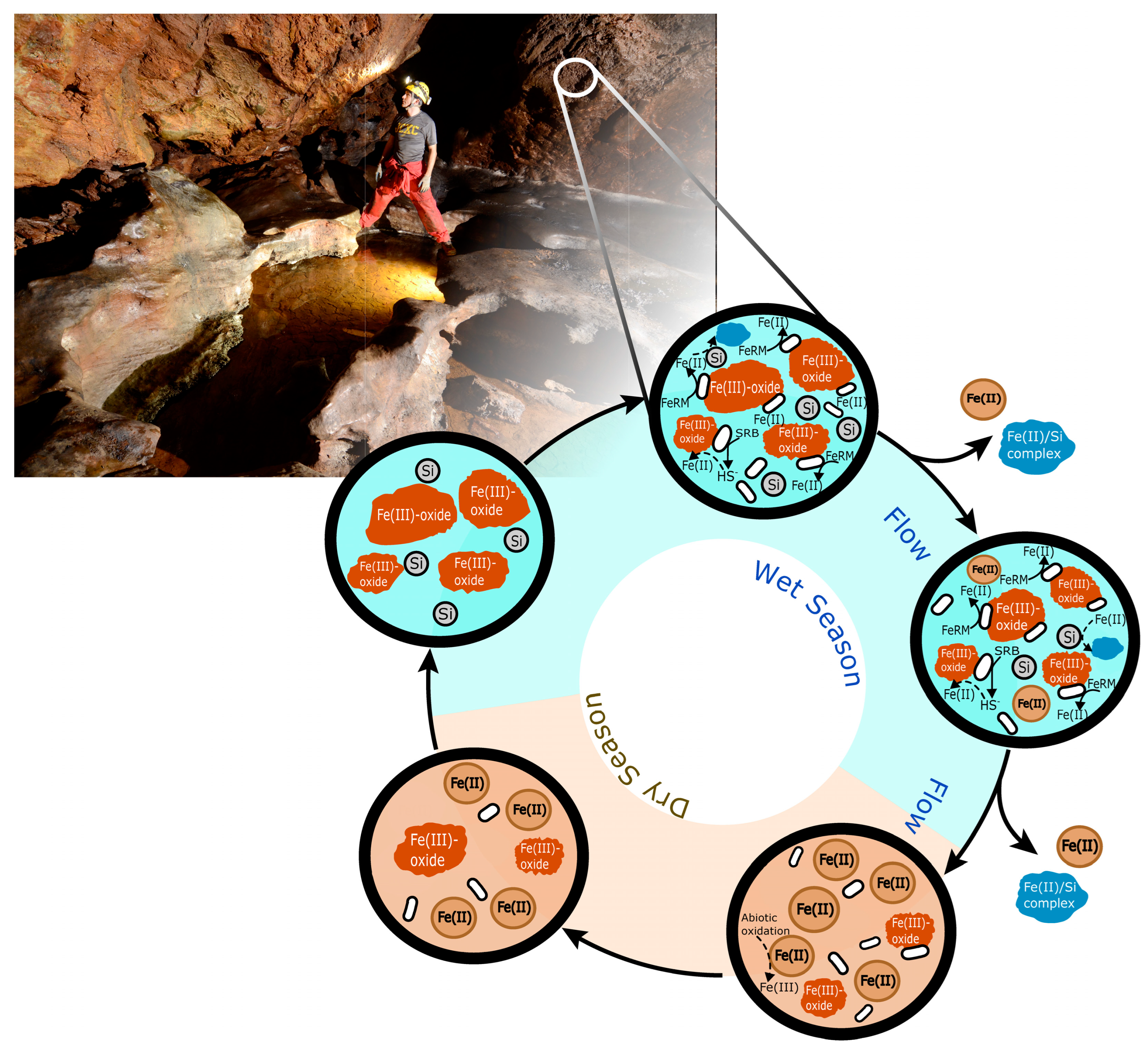 Minerals 14 00425 g004