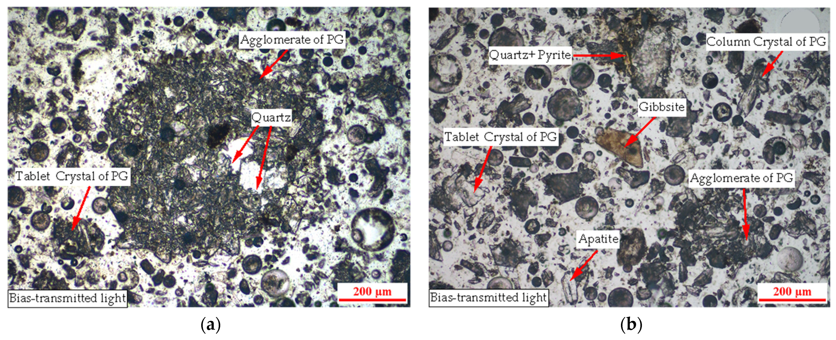 Minerals 14 00471 g004
